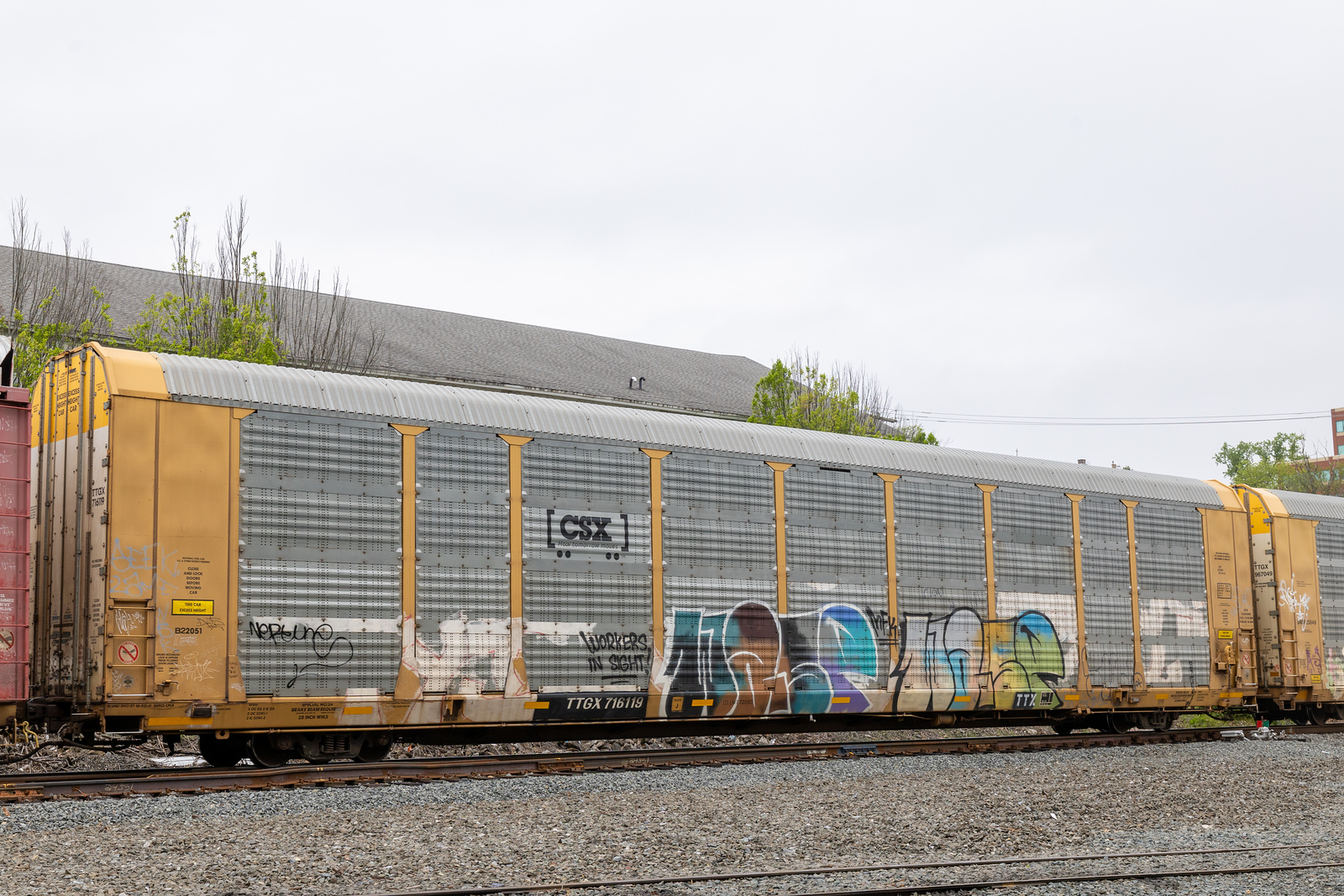 TTGX 716119
