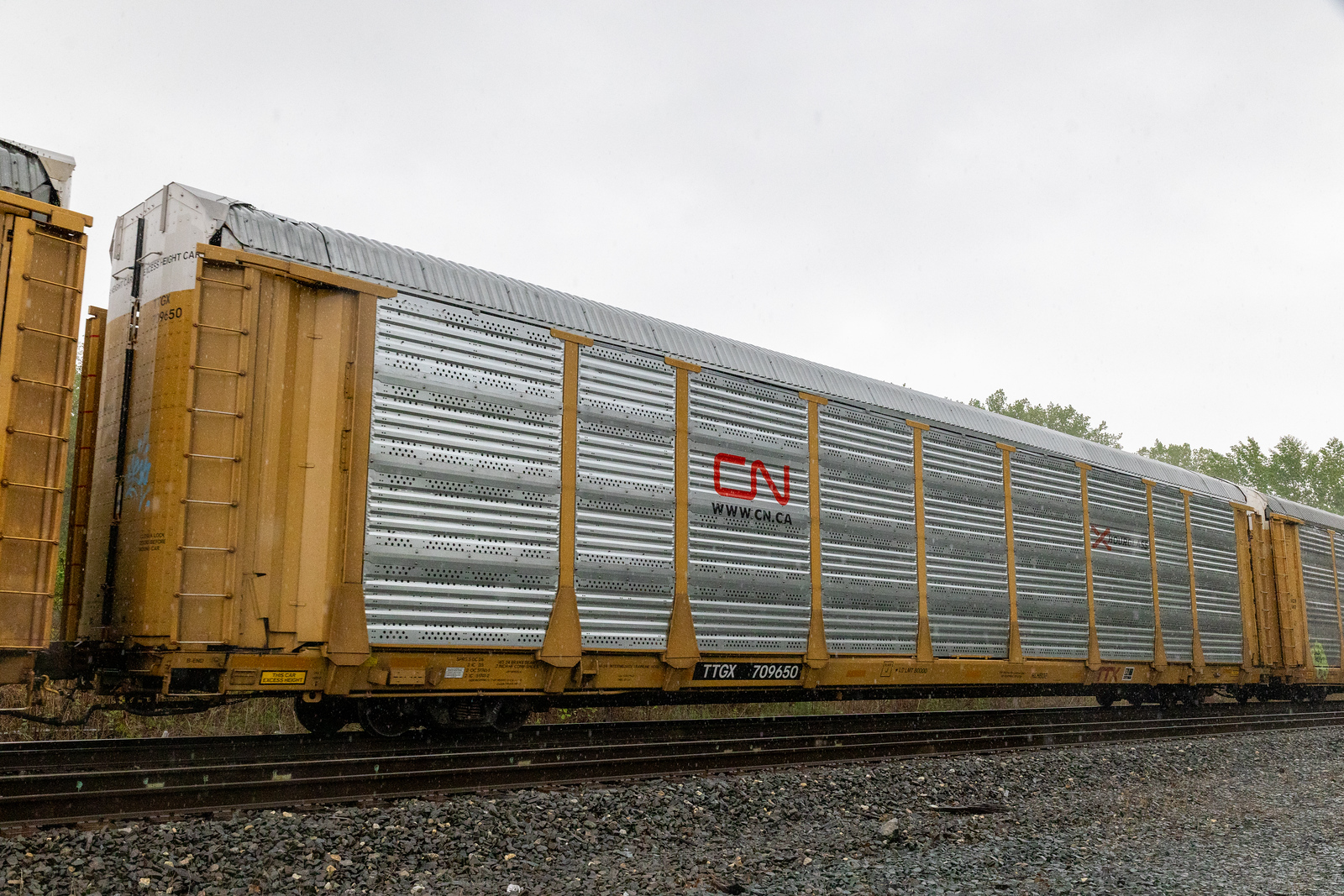 TTGX 709650