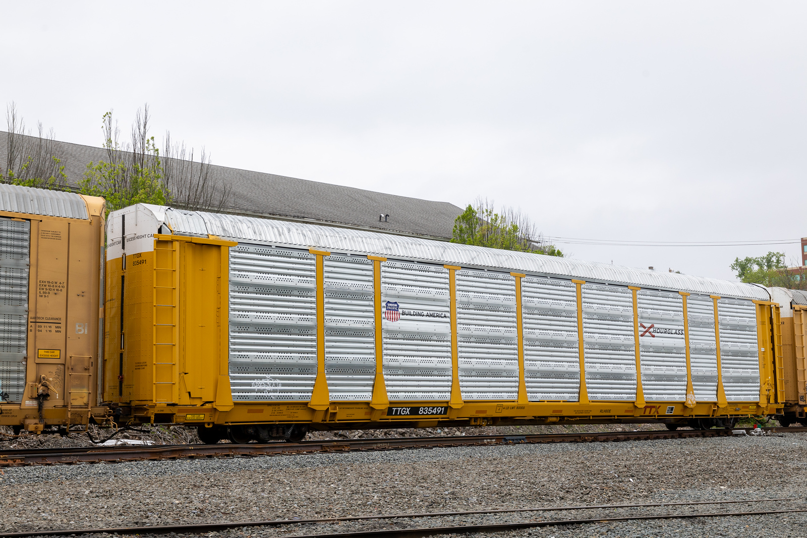 TTGX 835491