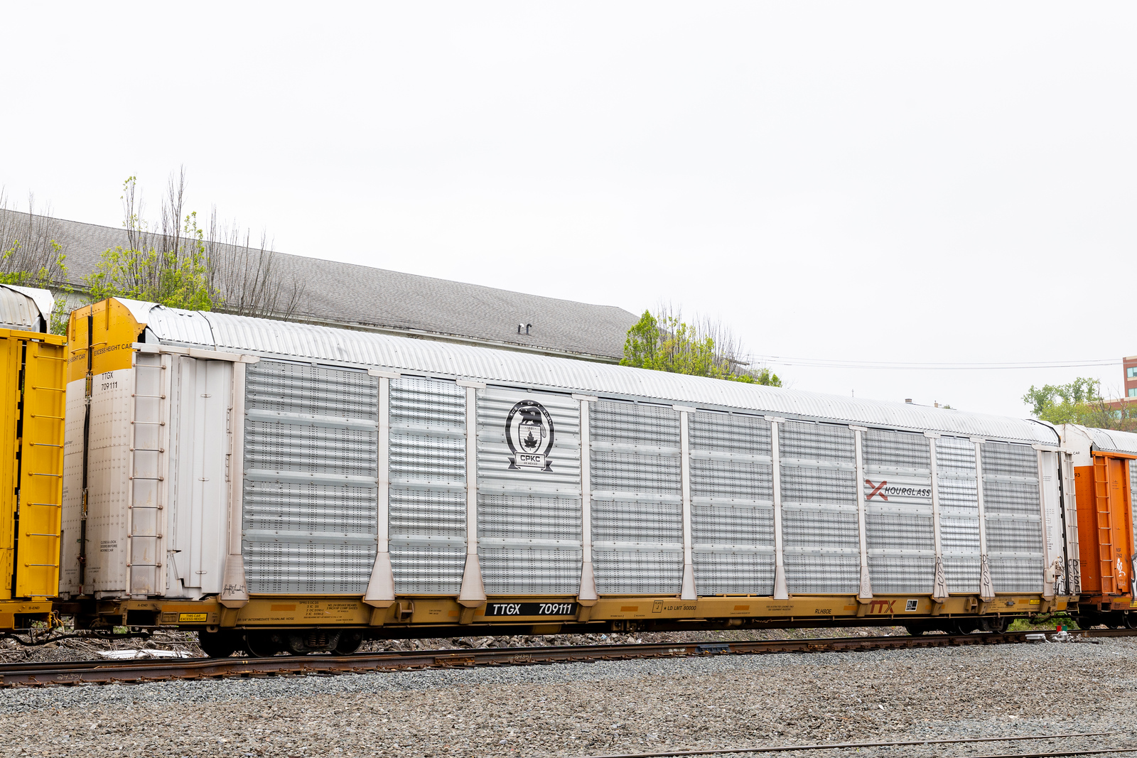 TTGX 709111