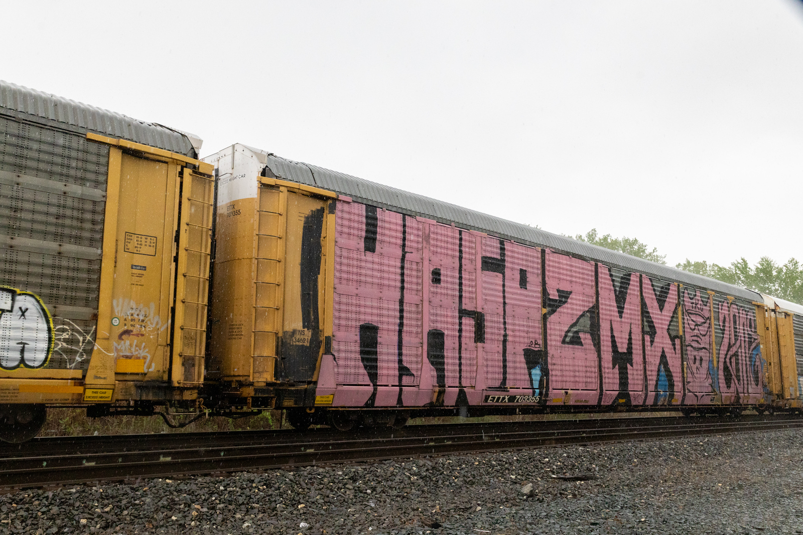 ETTX 703355