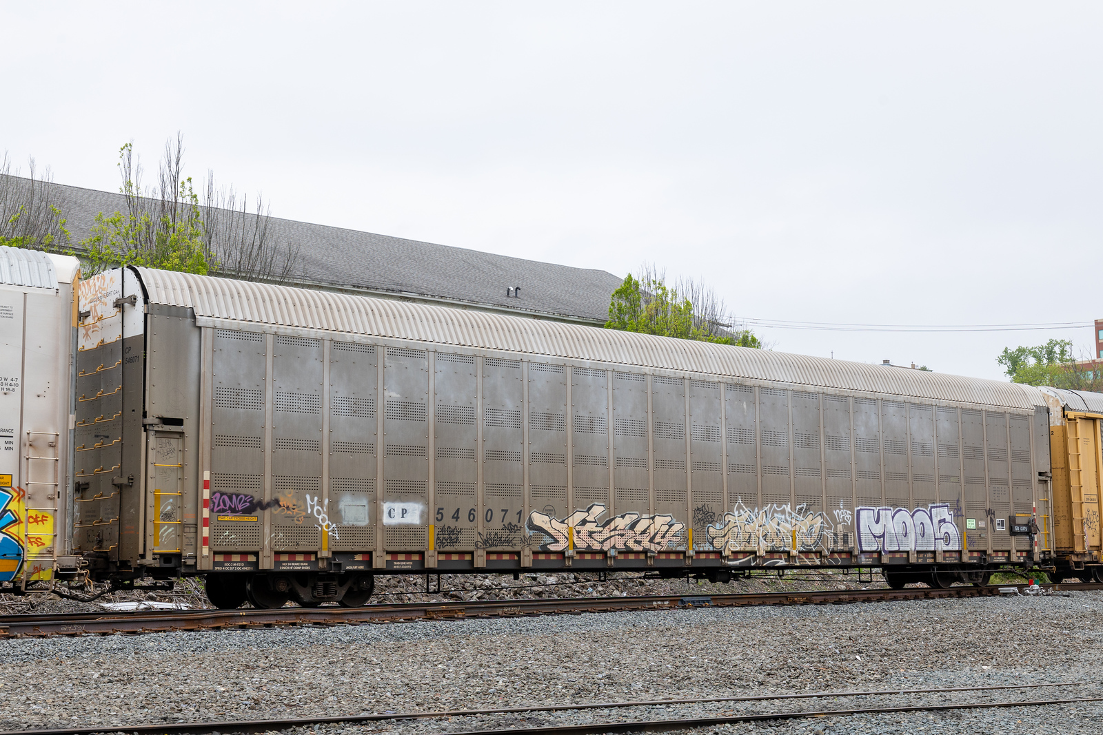 CP 546071