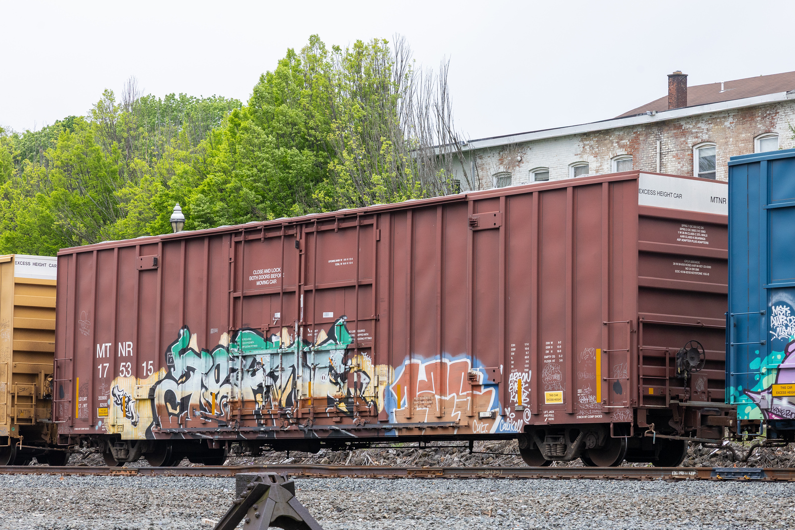 MTNR 175315