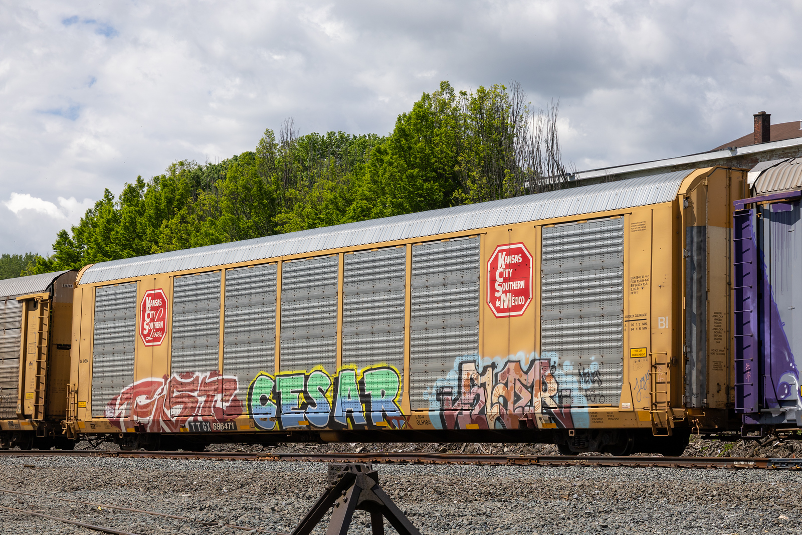TTGX 696471