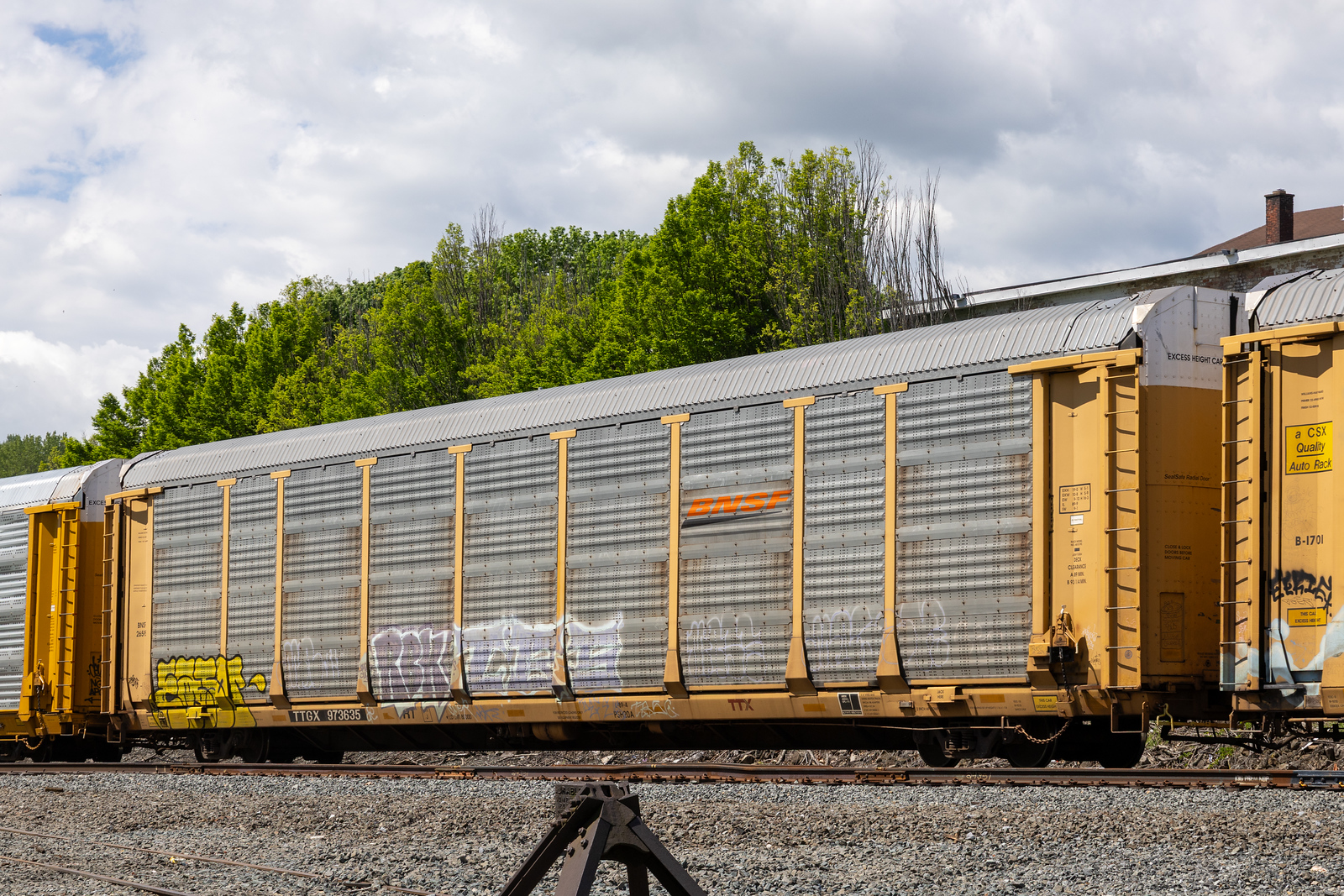 TTGX 973635