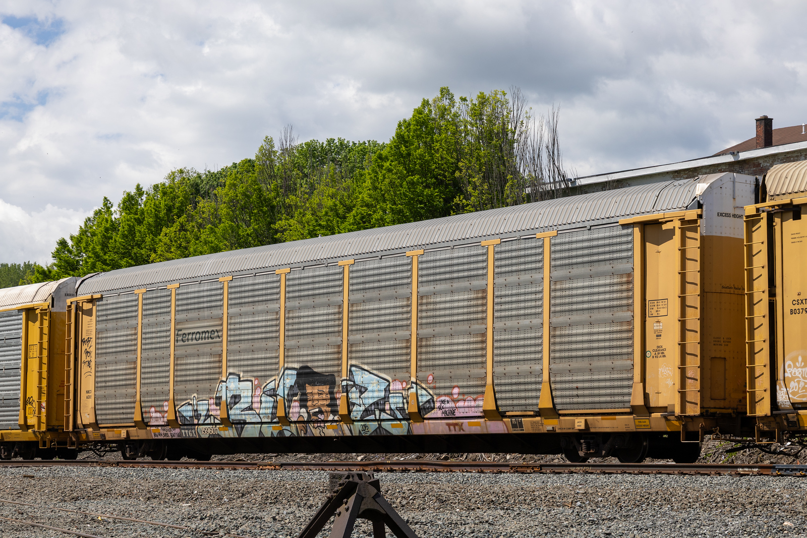 TTGX 159607