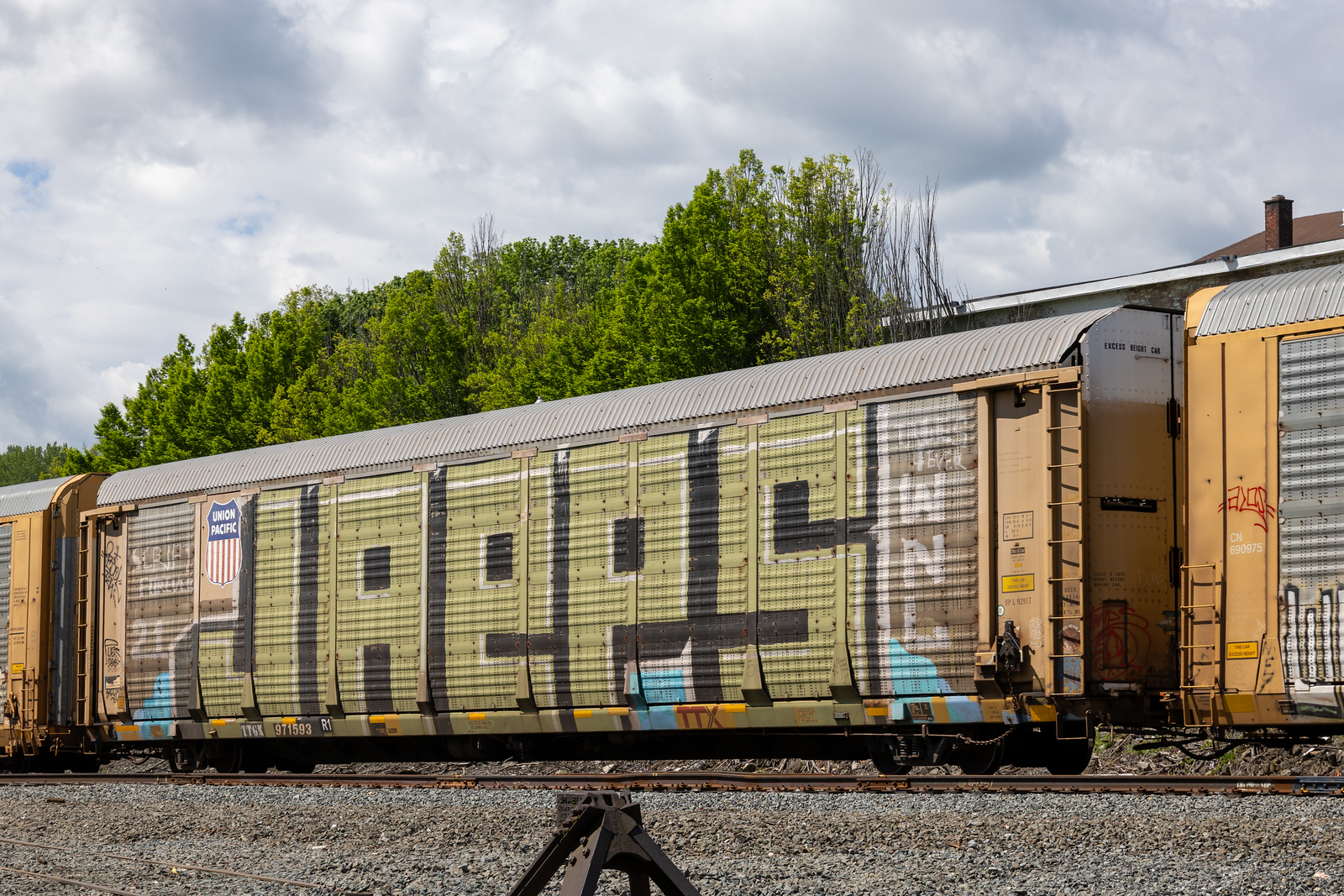 TTGX 971593