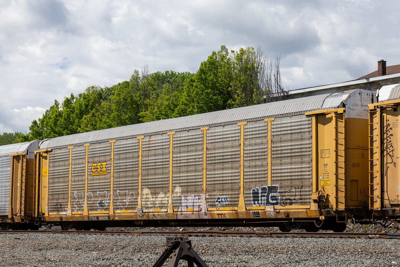 TTGX 996315