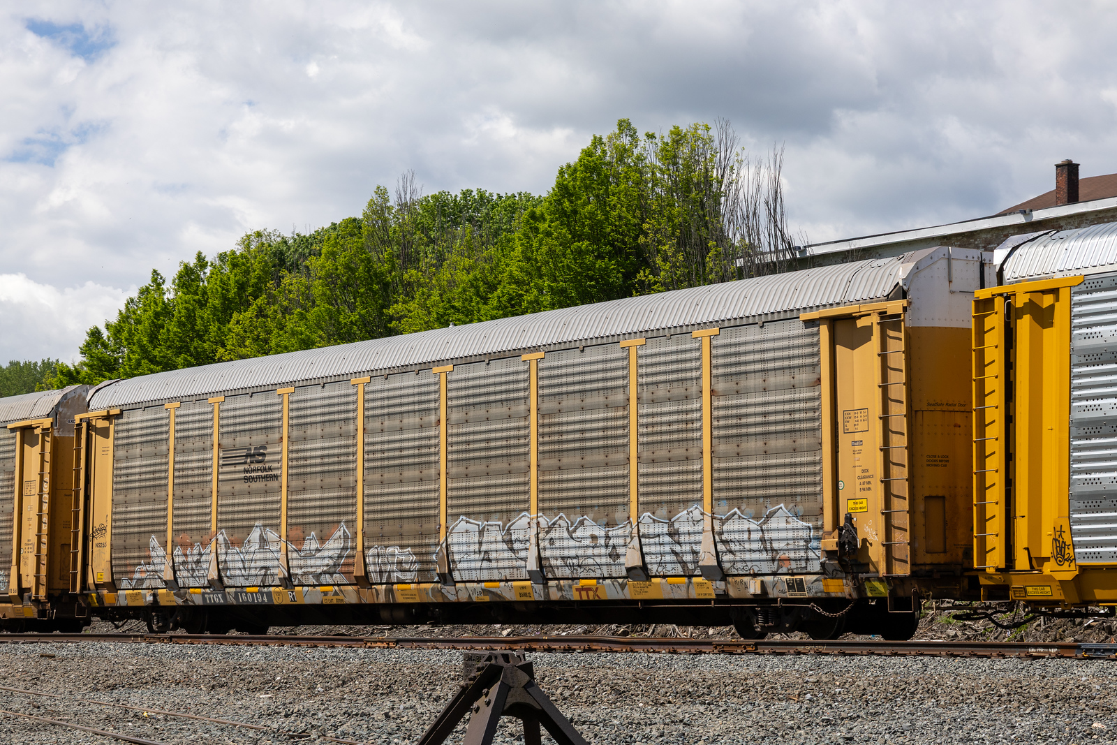 TTGX 160194