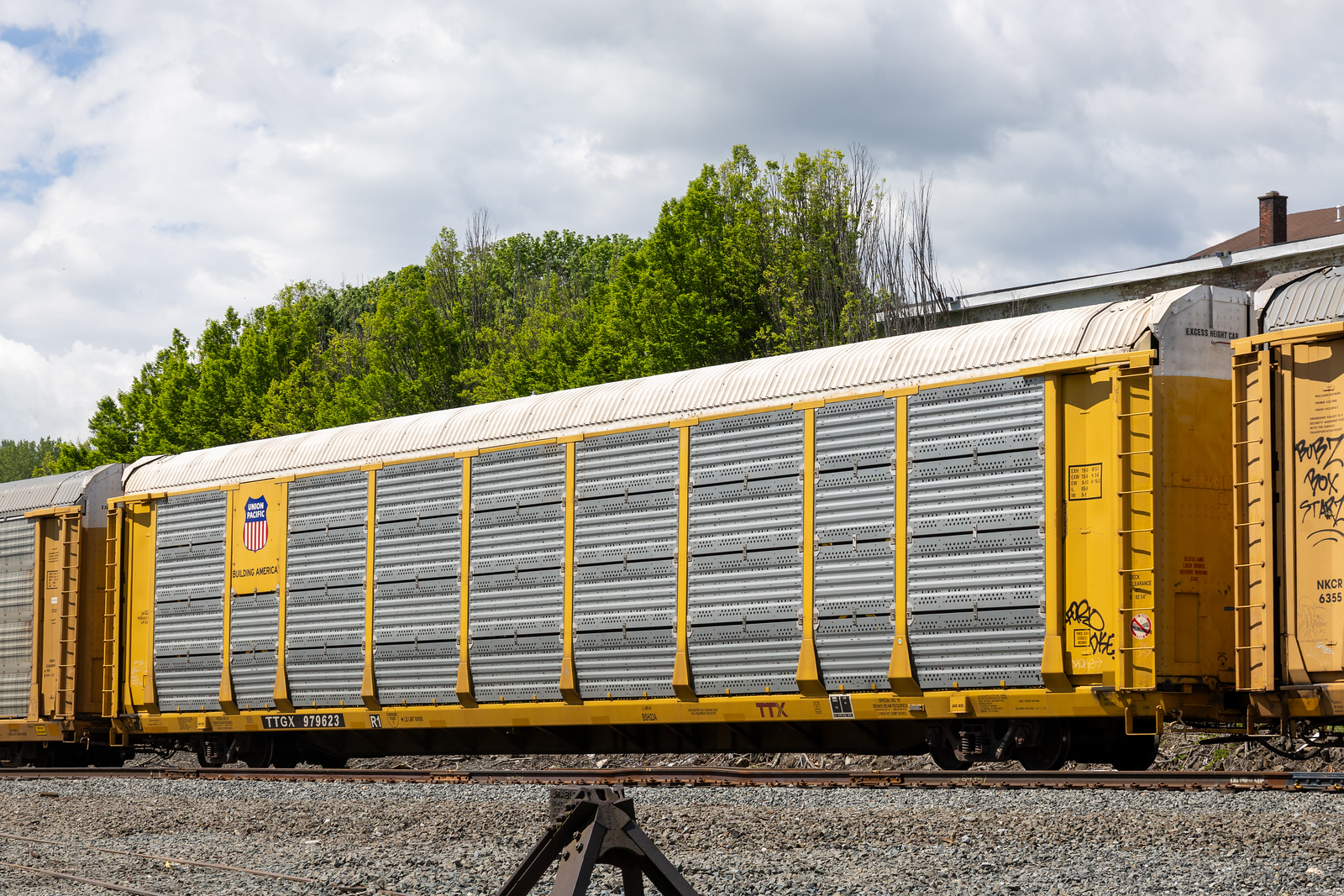 TTGX 979623
