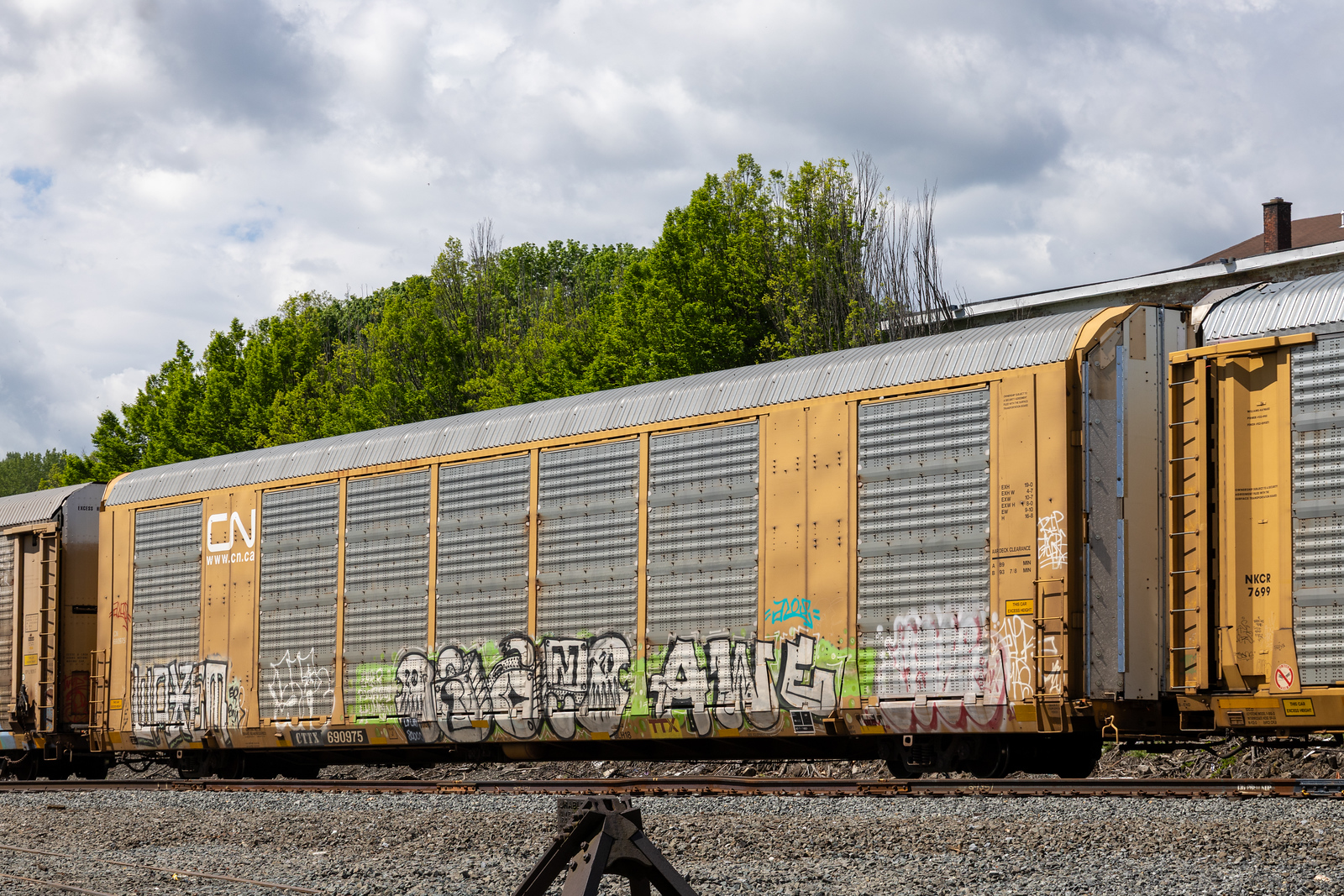 CTTX 690975