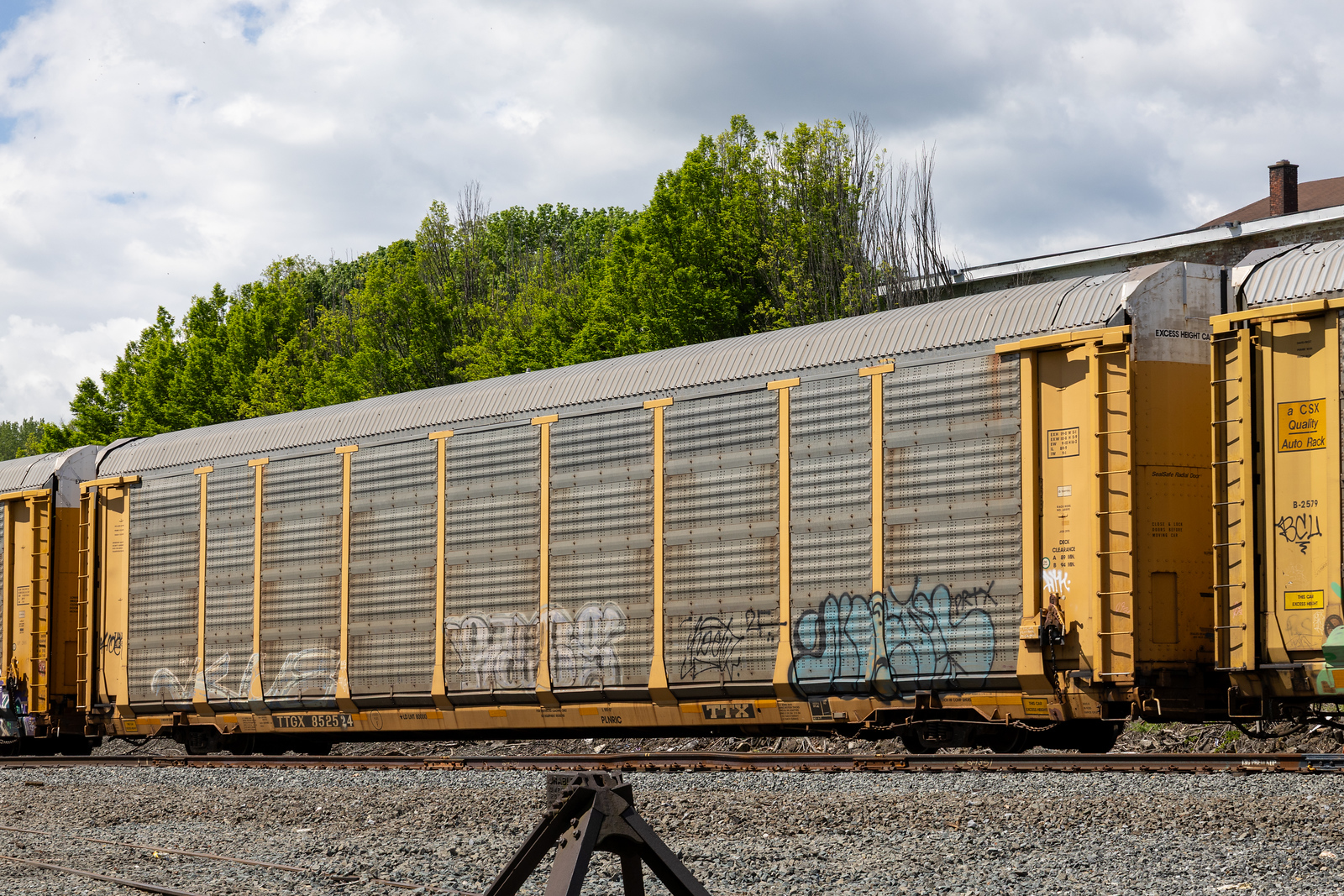 TTGX 852524