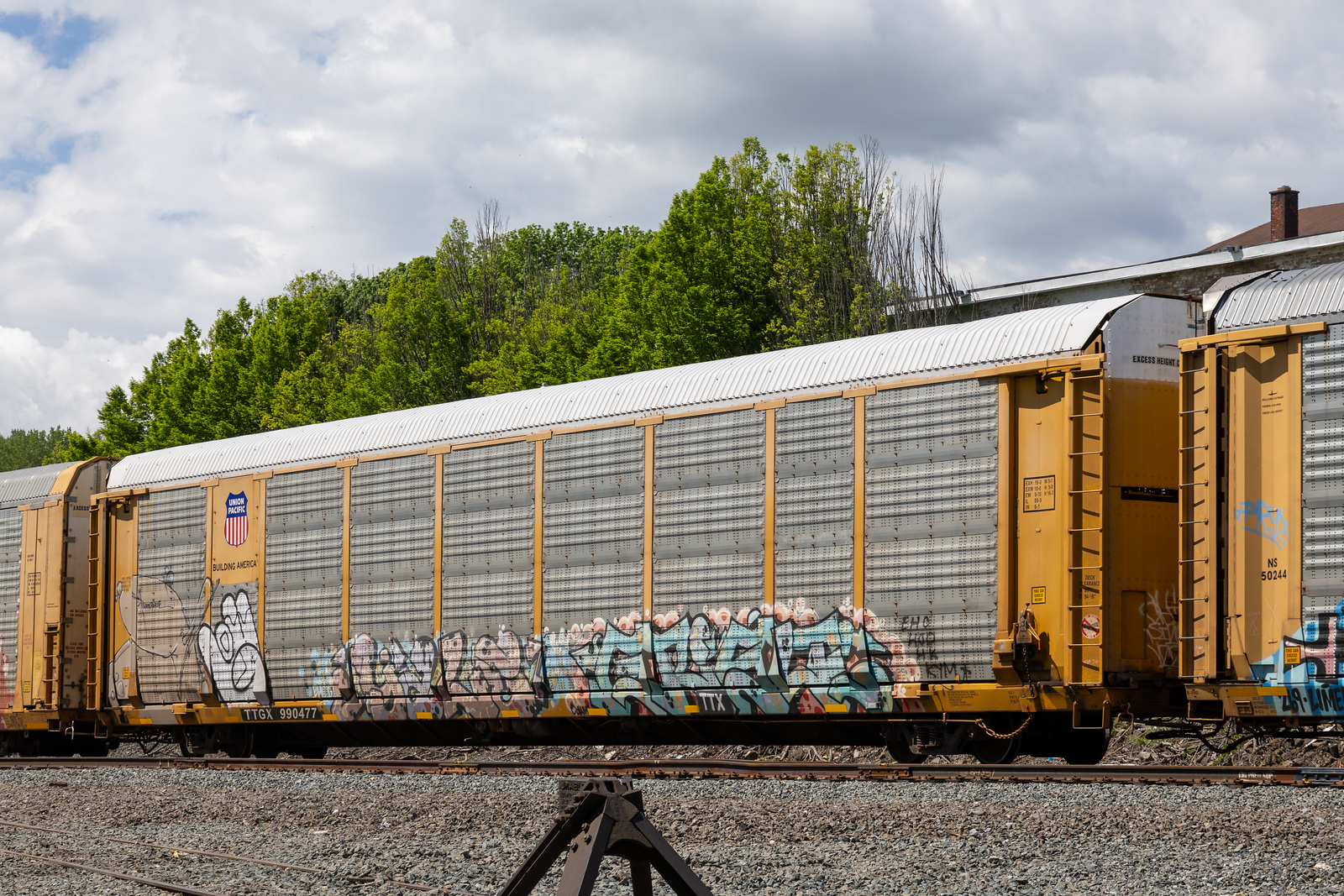 TTGX 990477