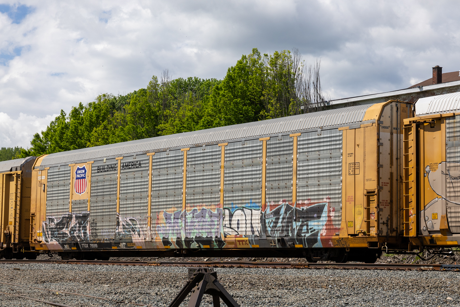 TTGX 715519