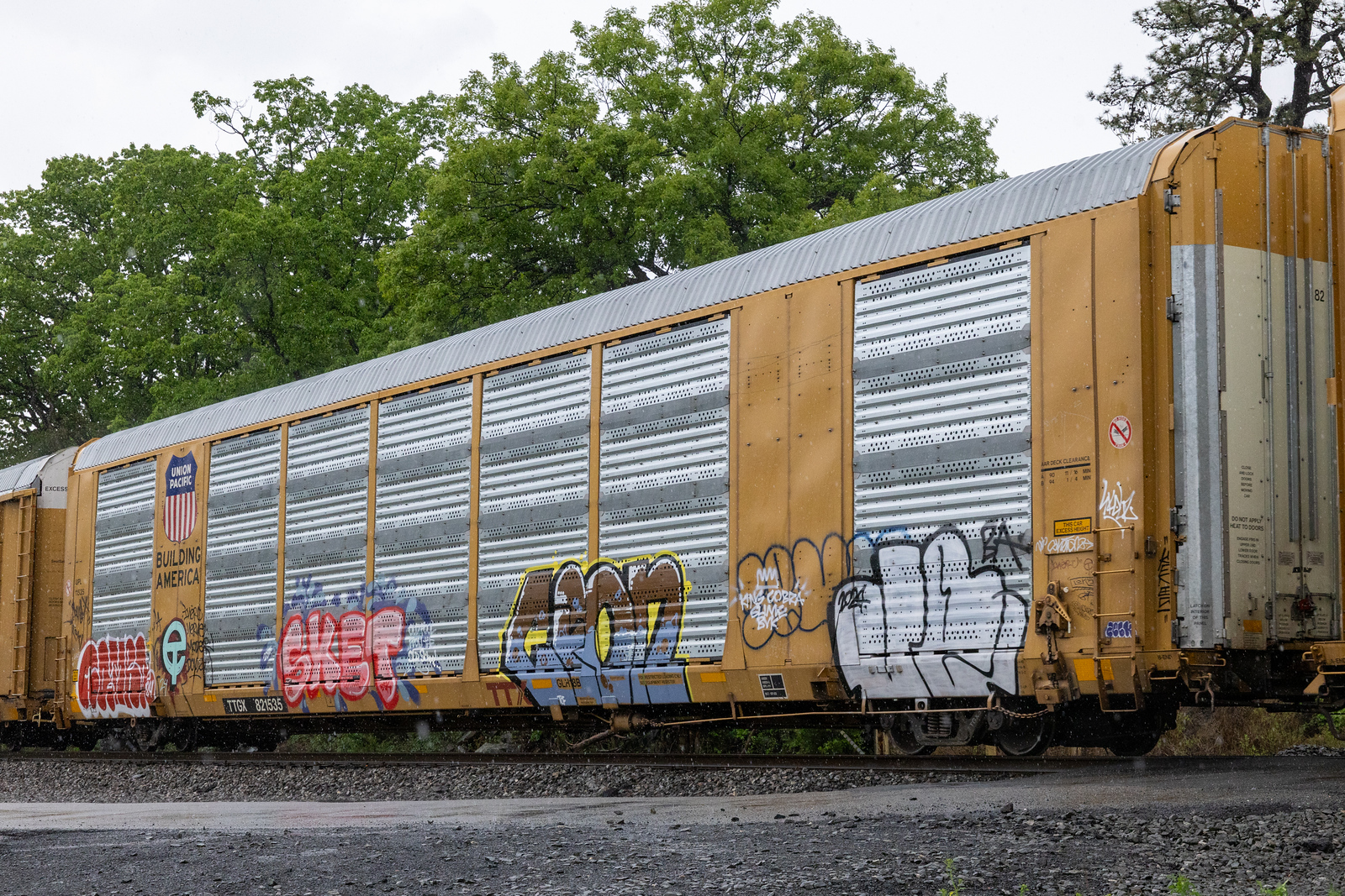 TTGX 821535