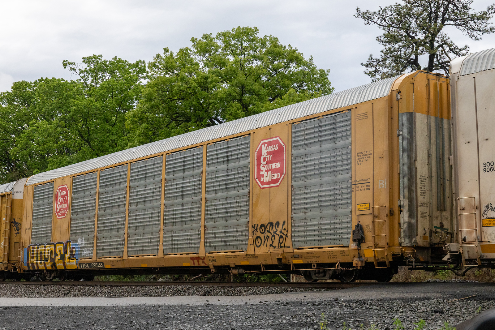 TTGX 696155