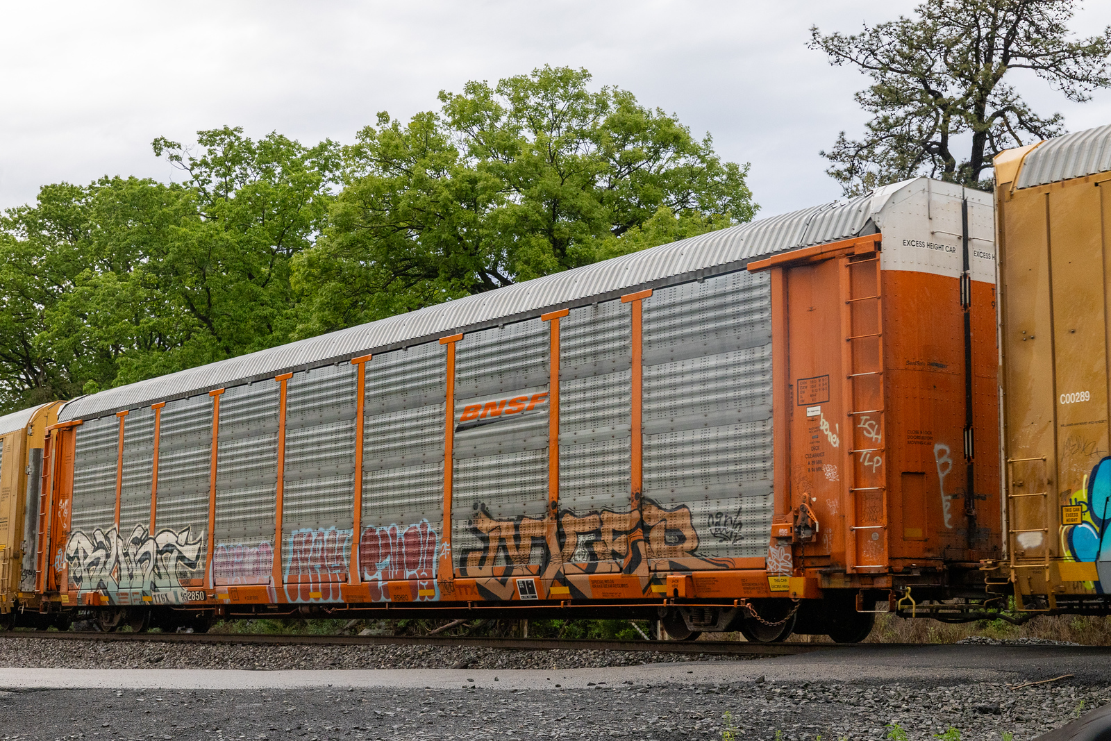 TTGX 952850