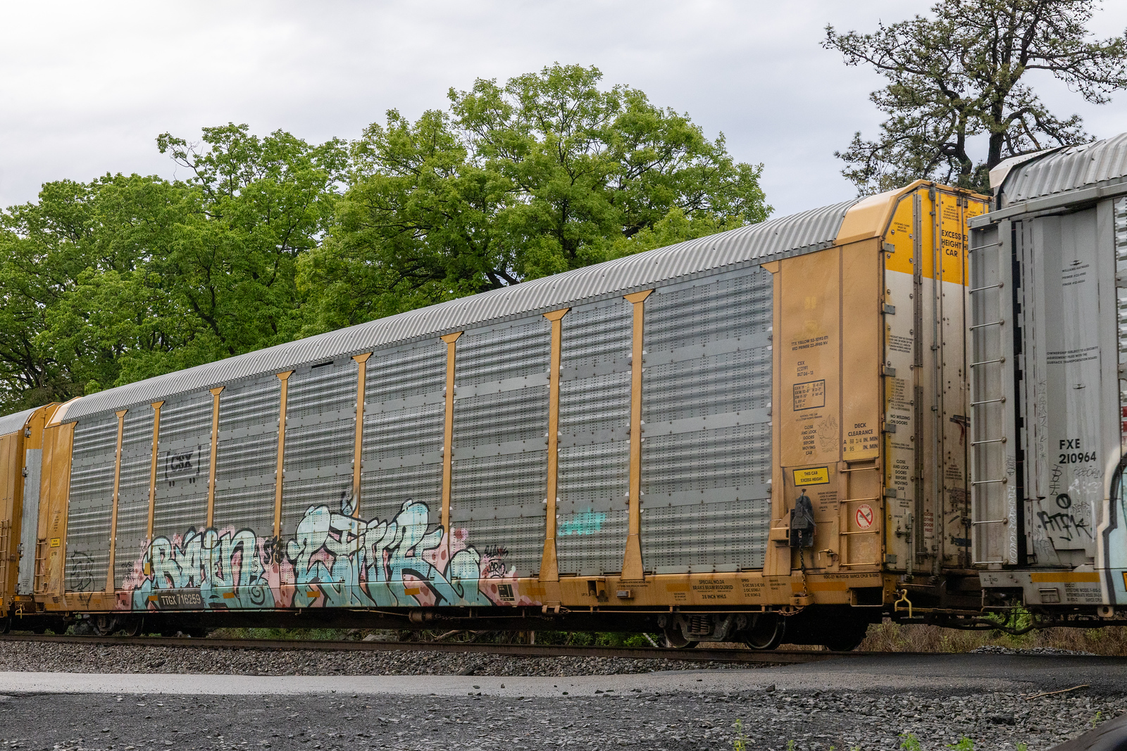TTGX 716259