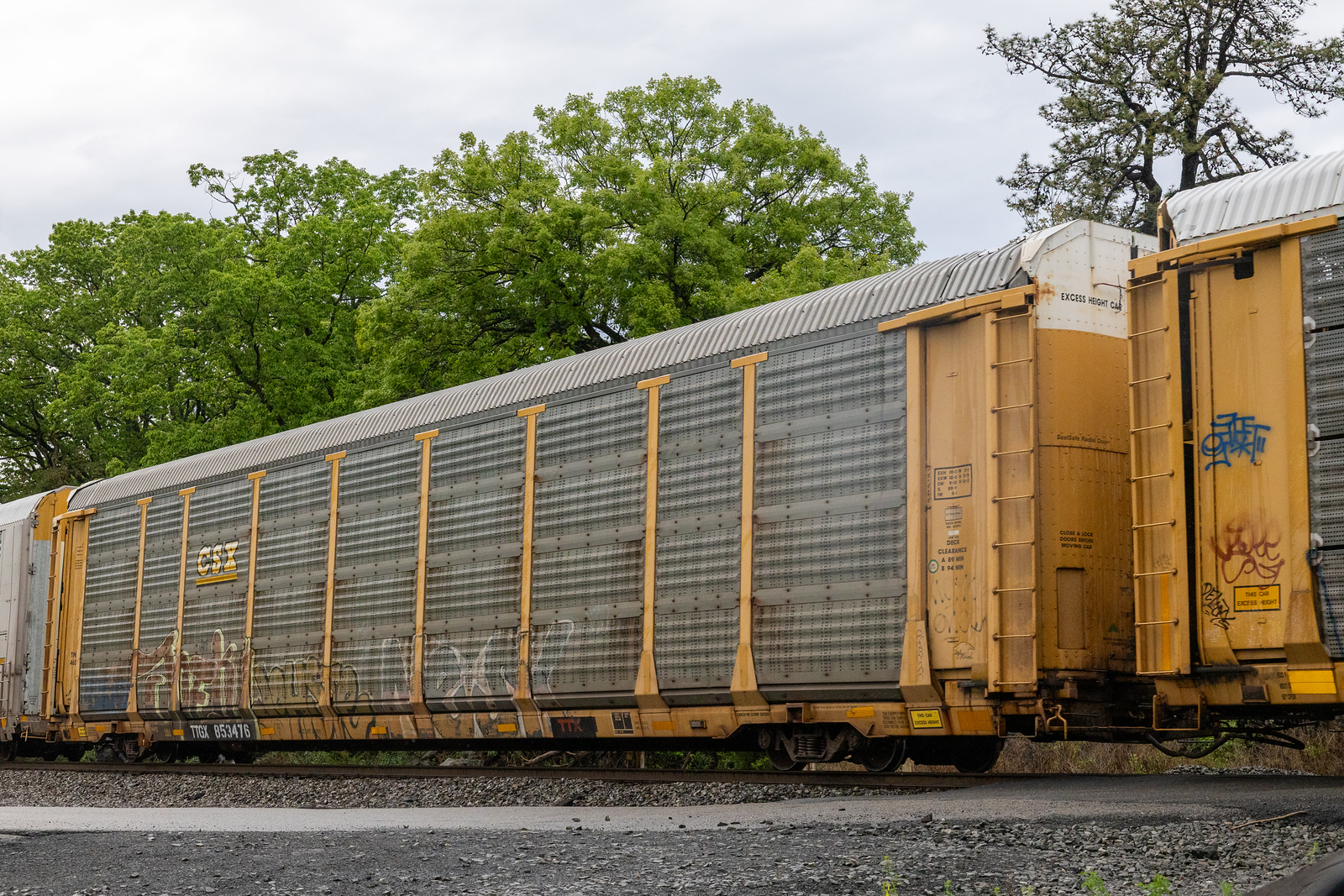 TTGX 853476