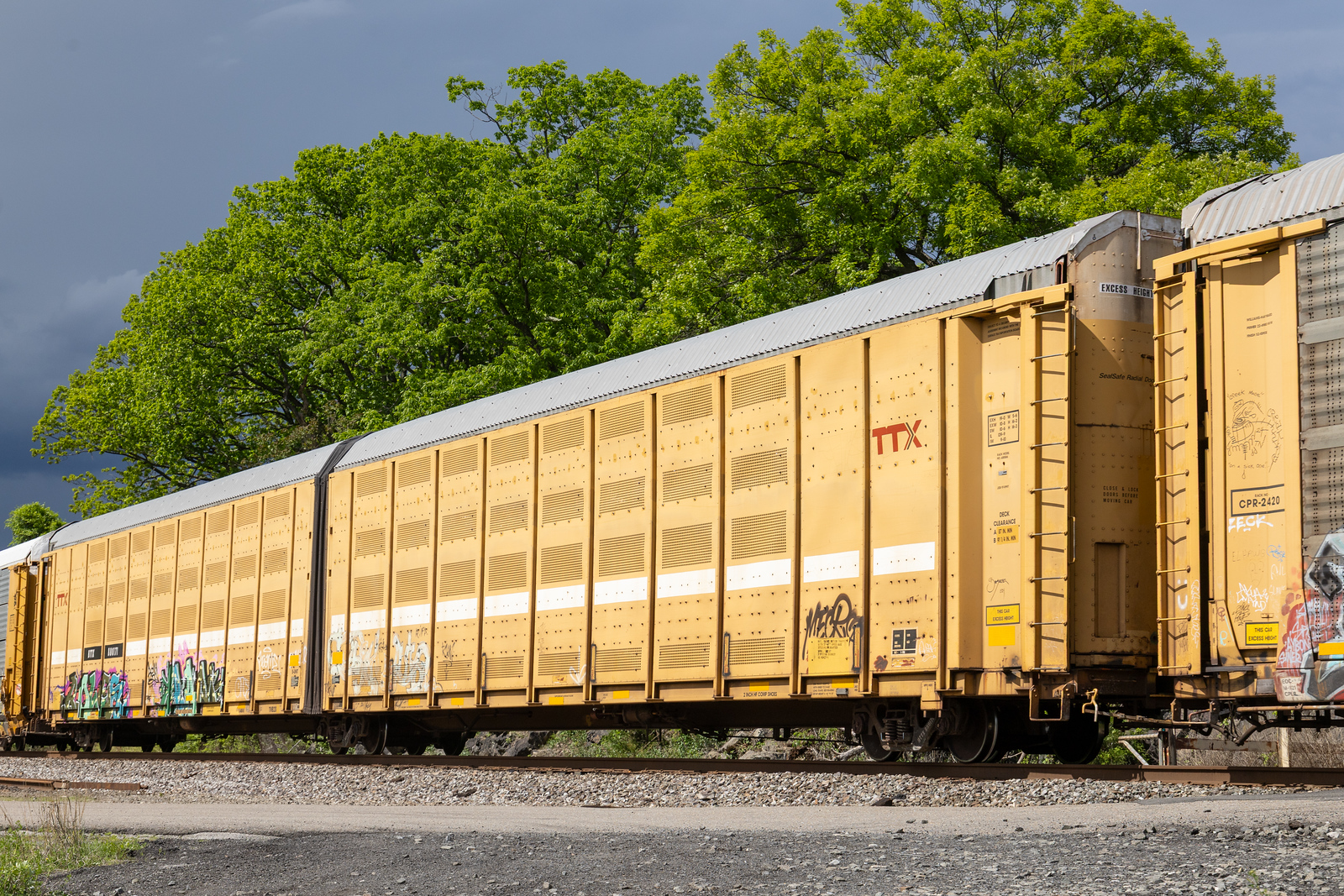 BTTX 880171