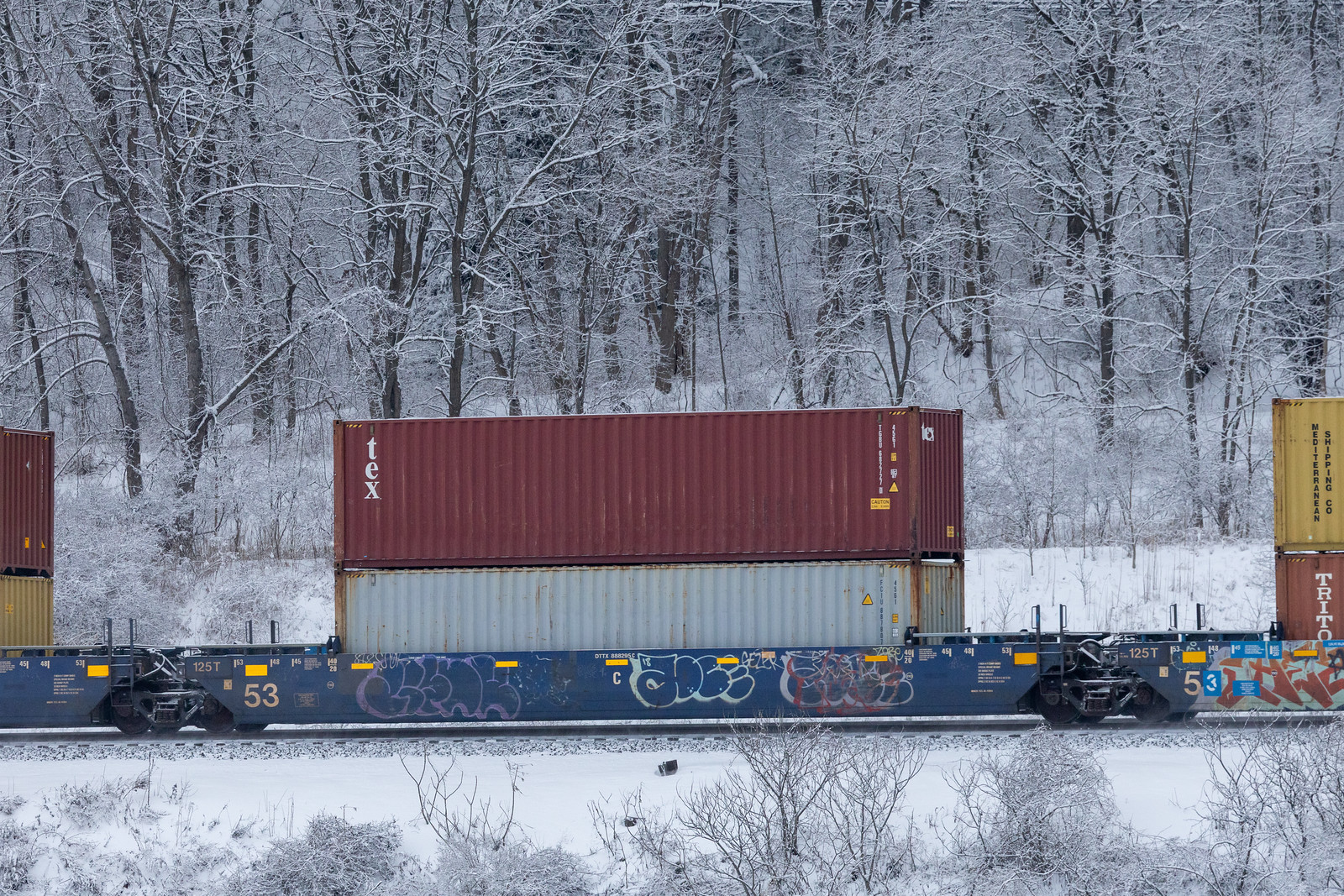 DTTX 888295C