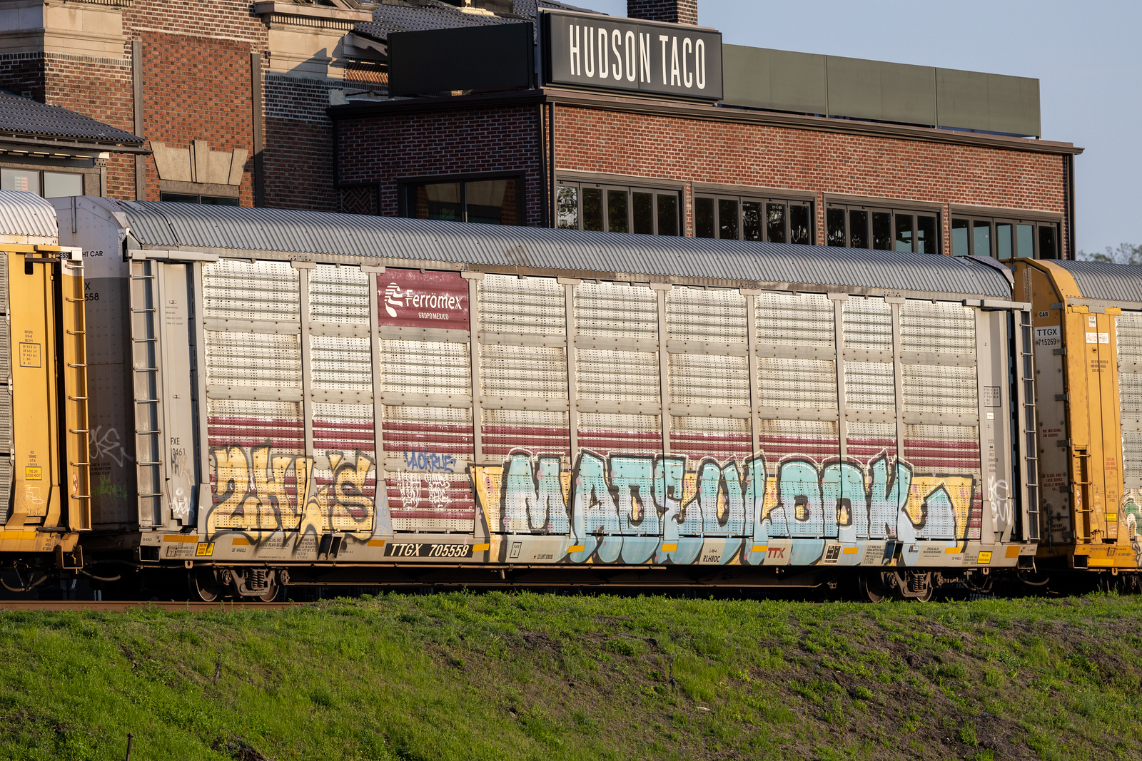 TTGX 705558