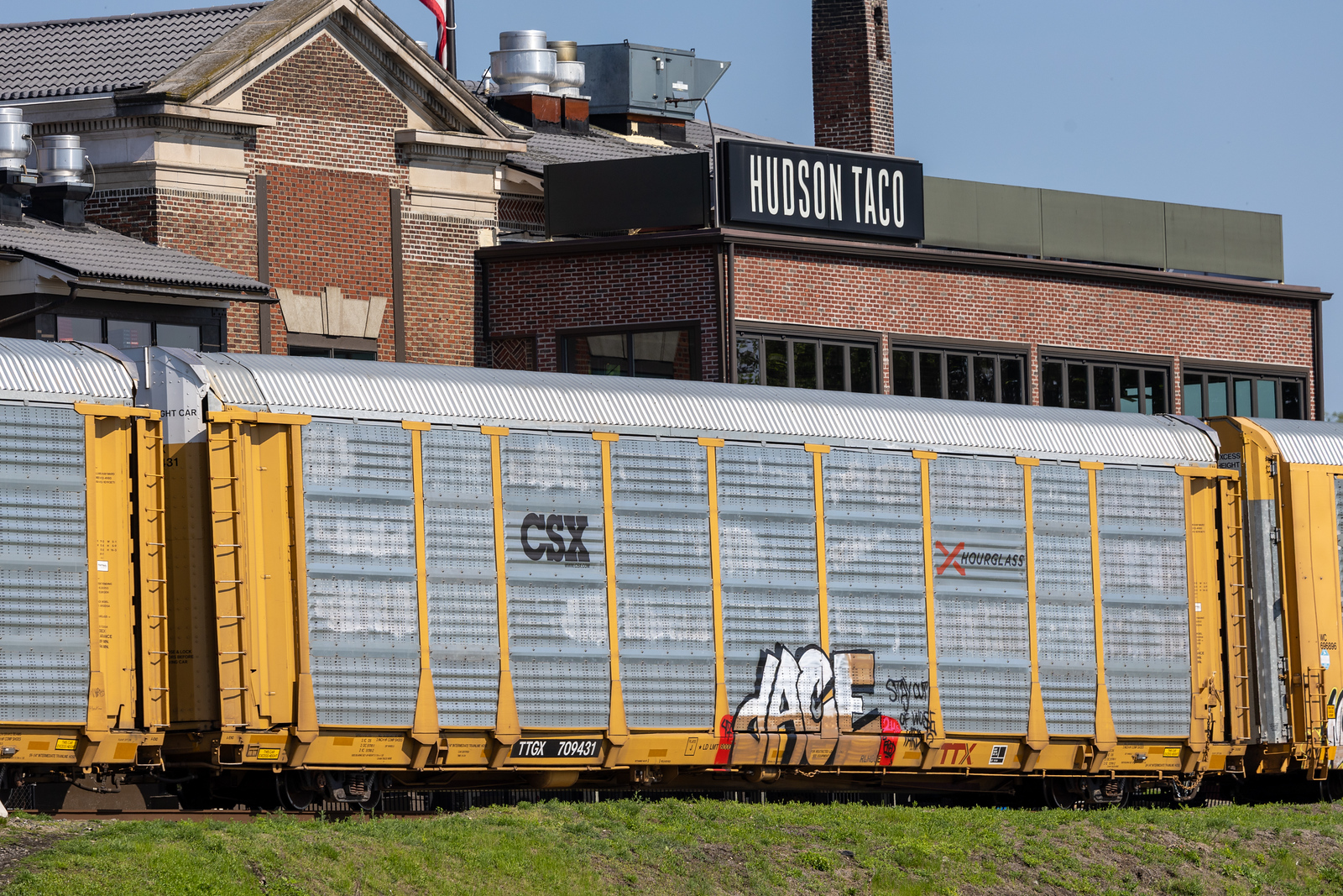 TTGX 709431