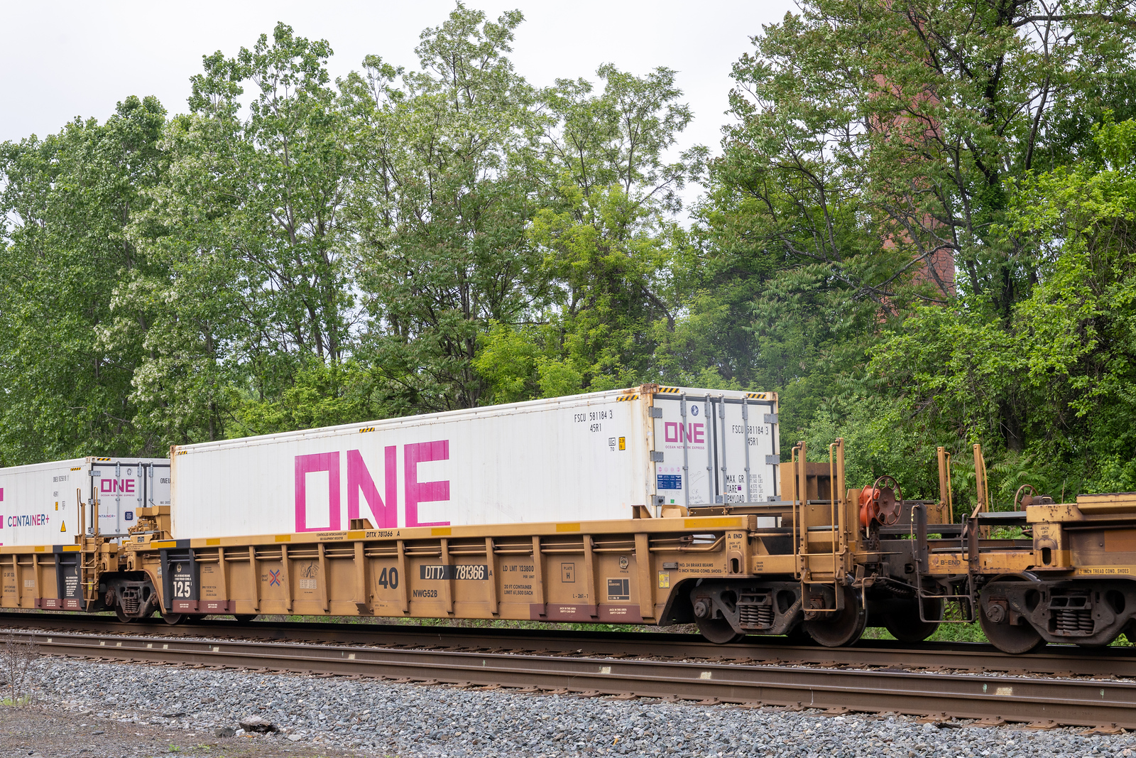 DTTX 781366A