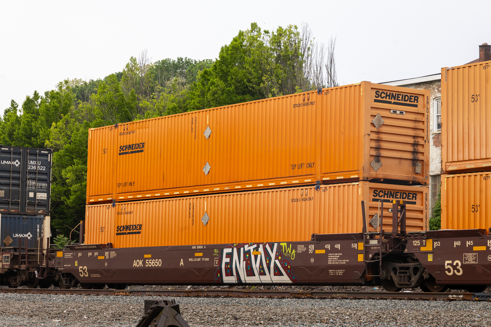 AOK 55650A