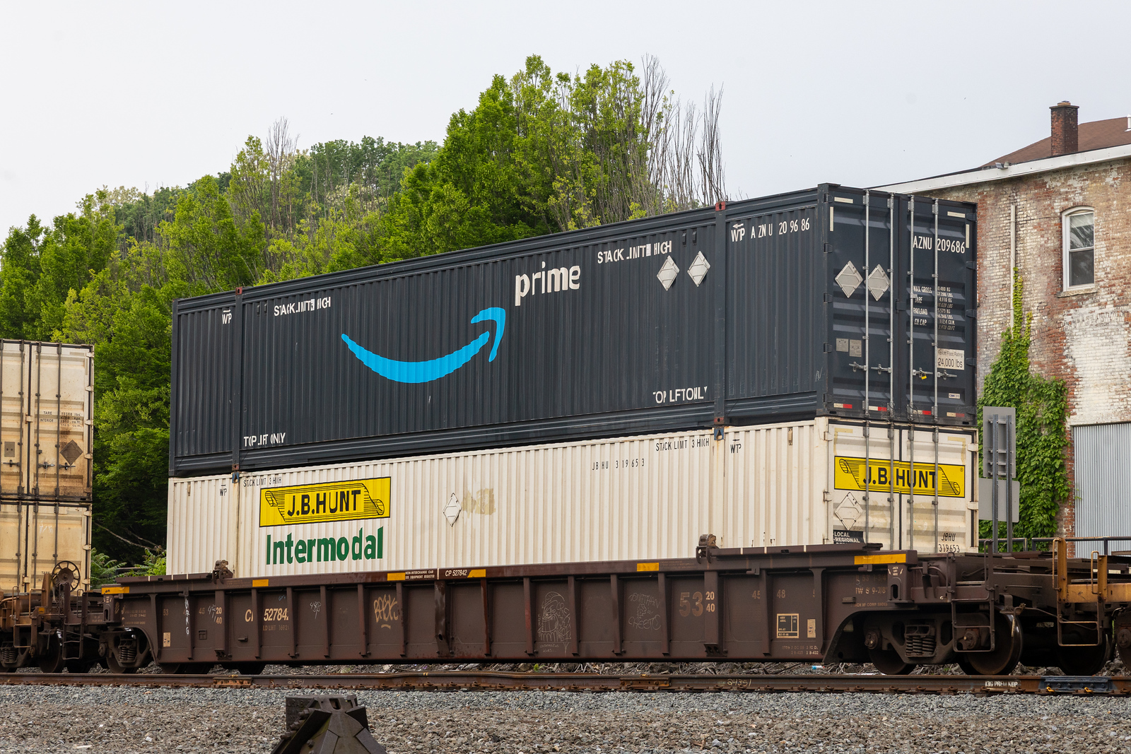 CP 527842