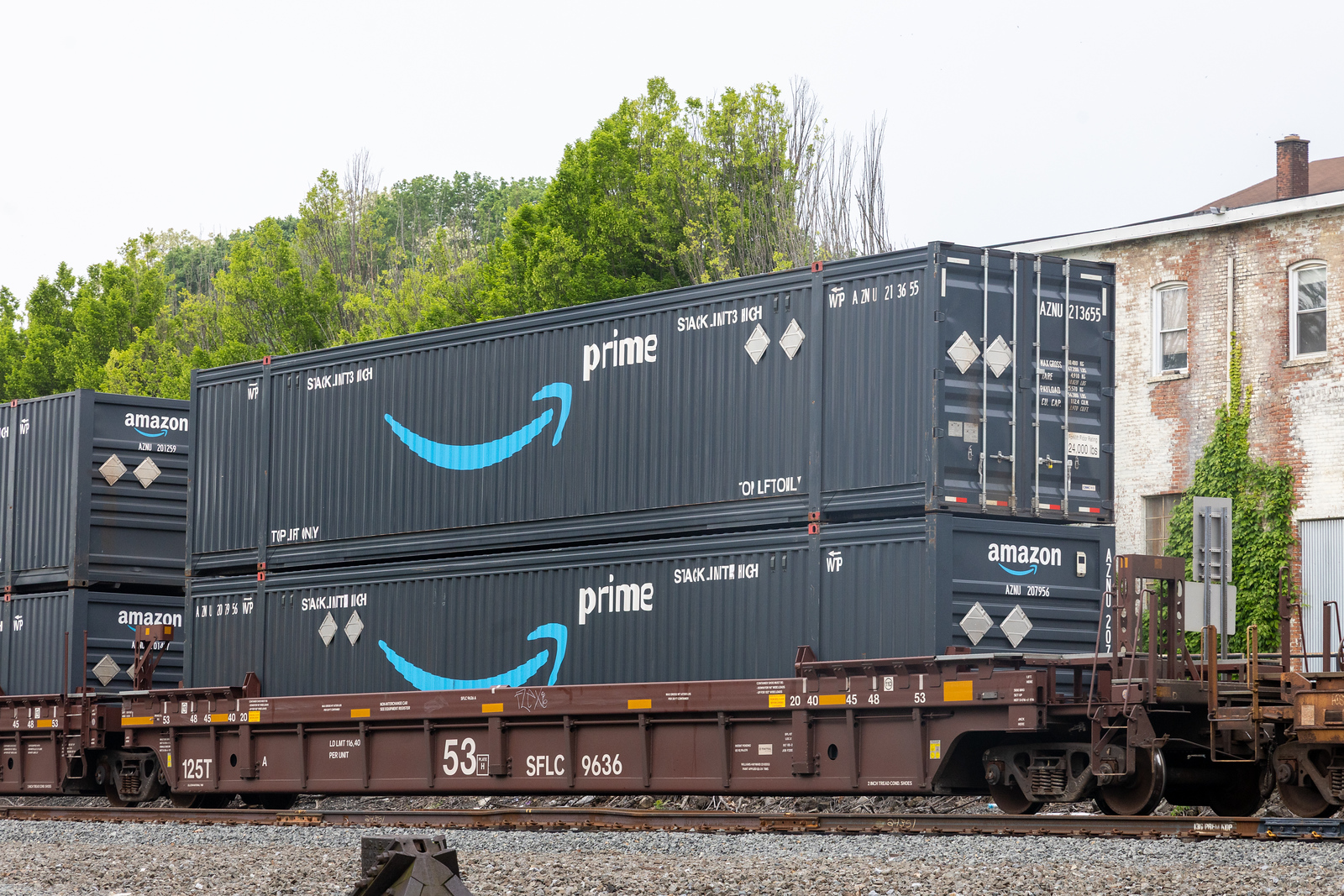 SFLC 9636A
