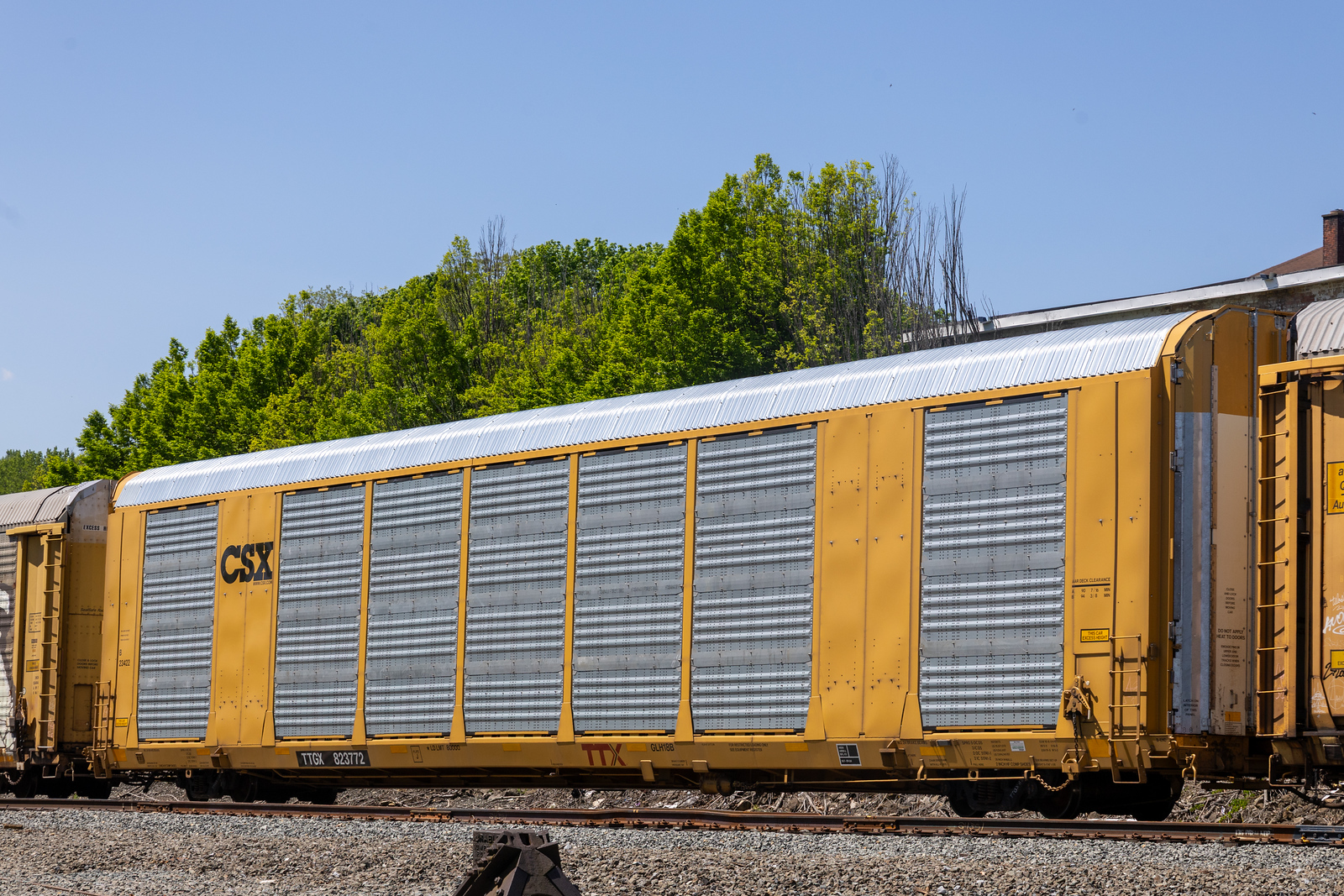 TTGX 823772