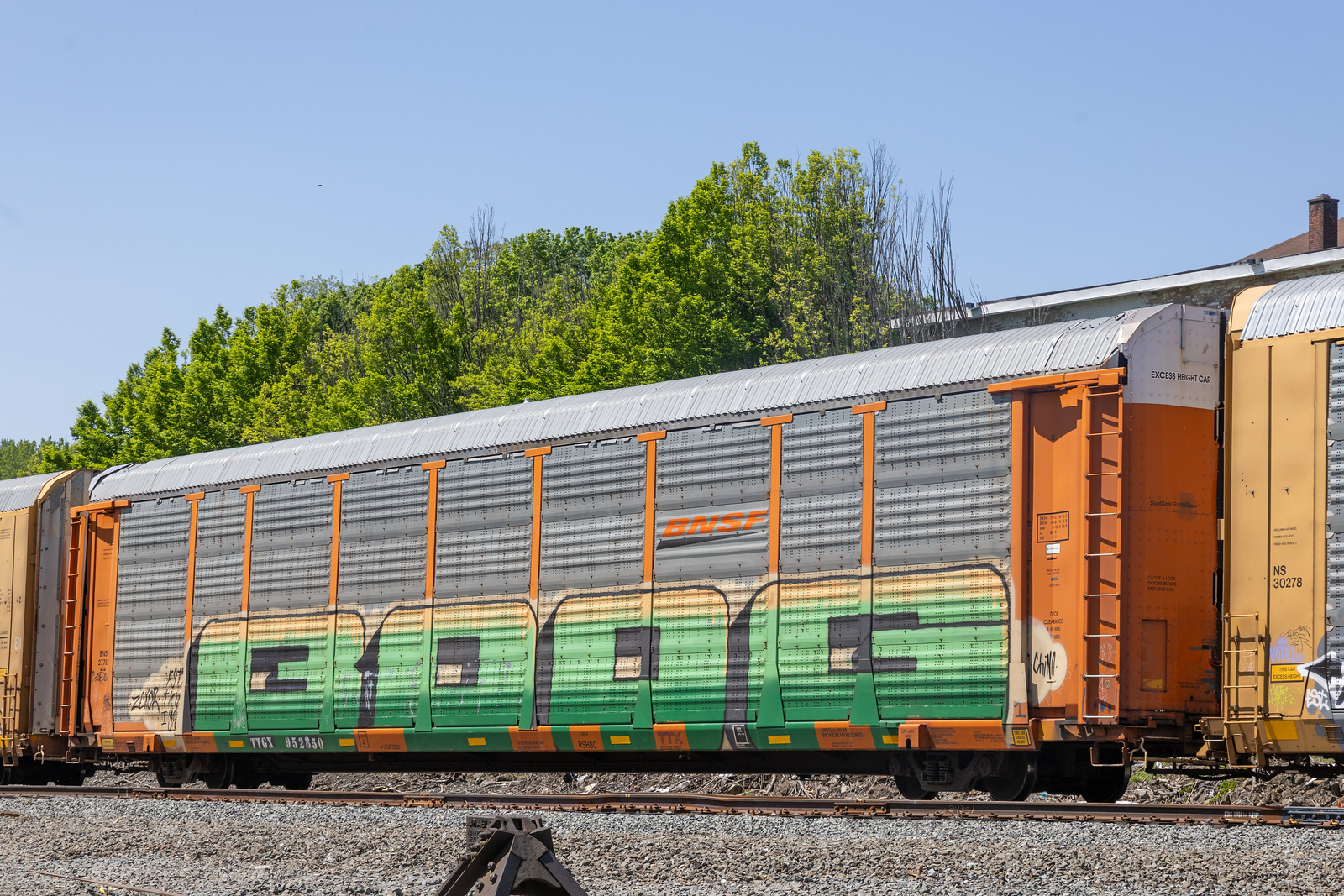 TTGX 952850