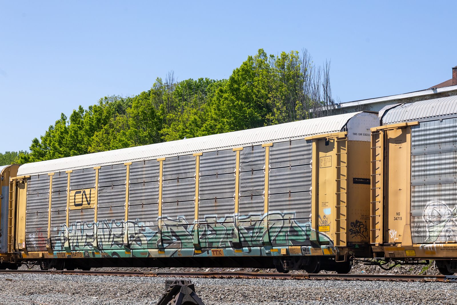 TTGX 964173
