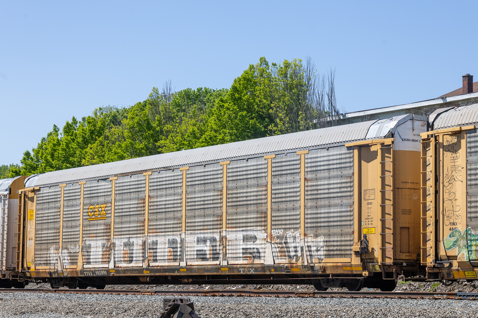 TTGX 995990