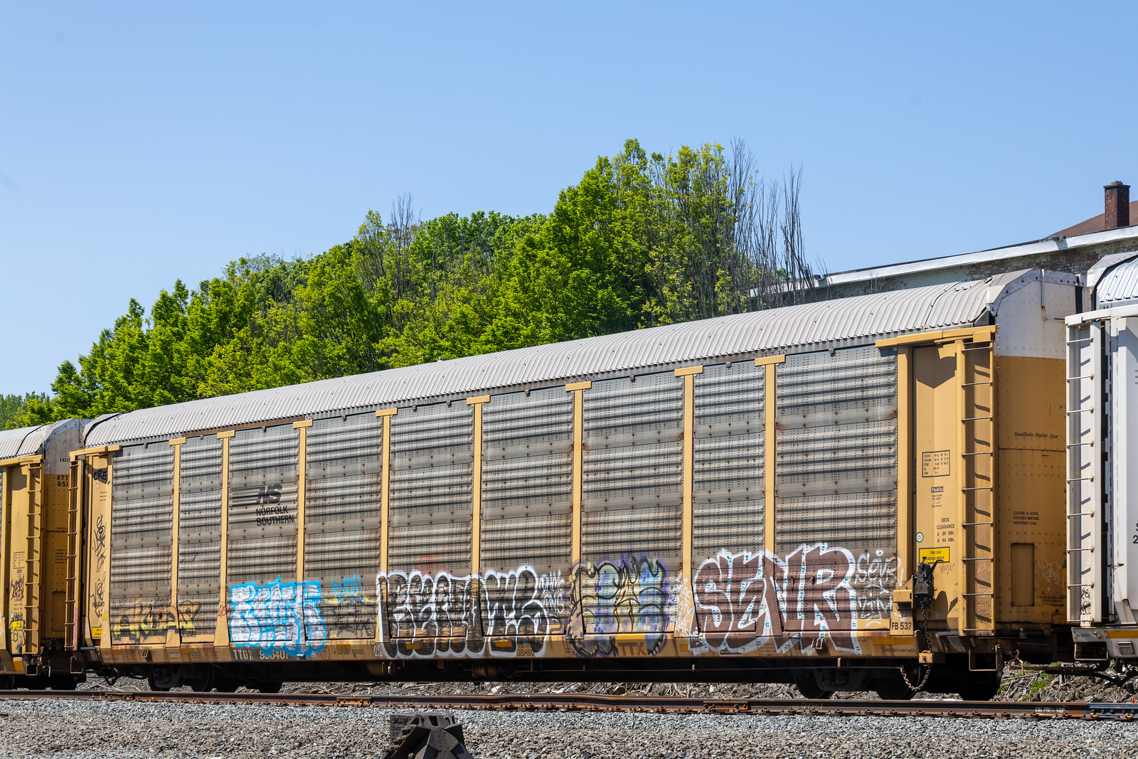 TTGX 996407