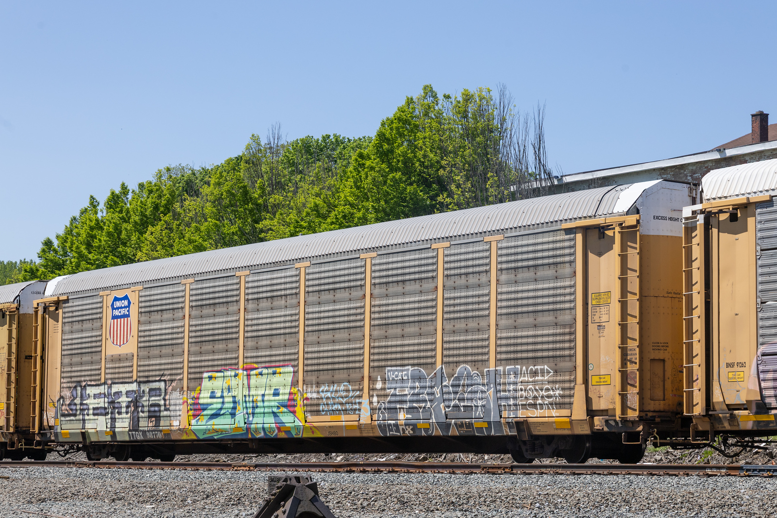TTGX 987704