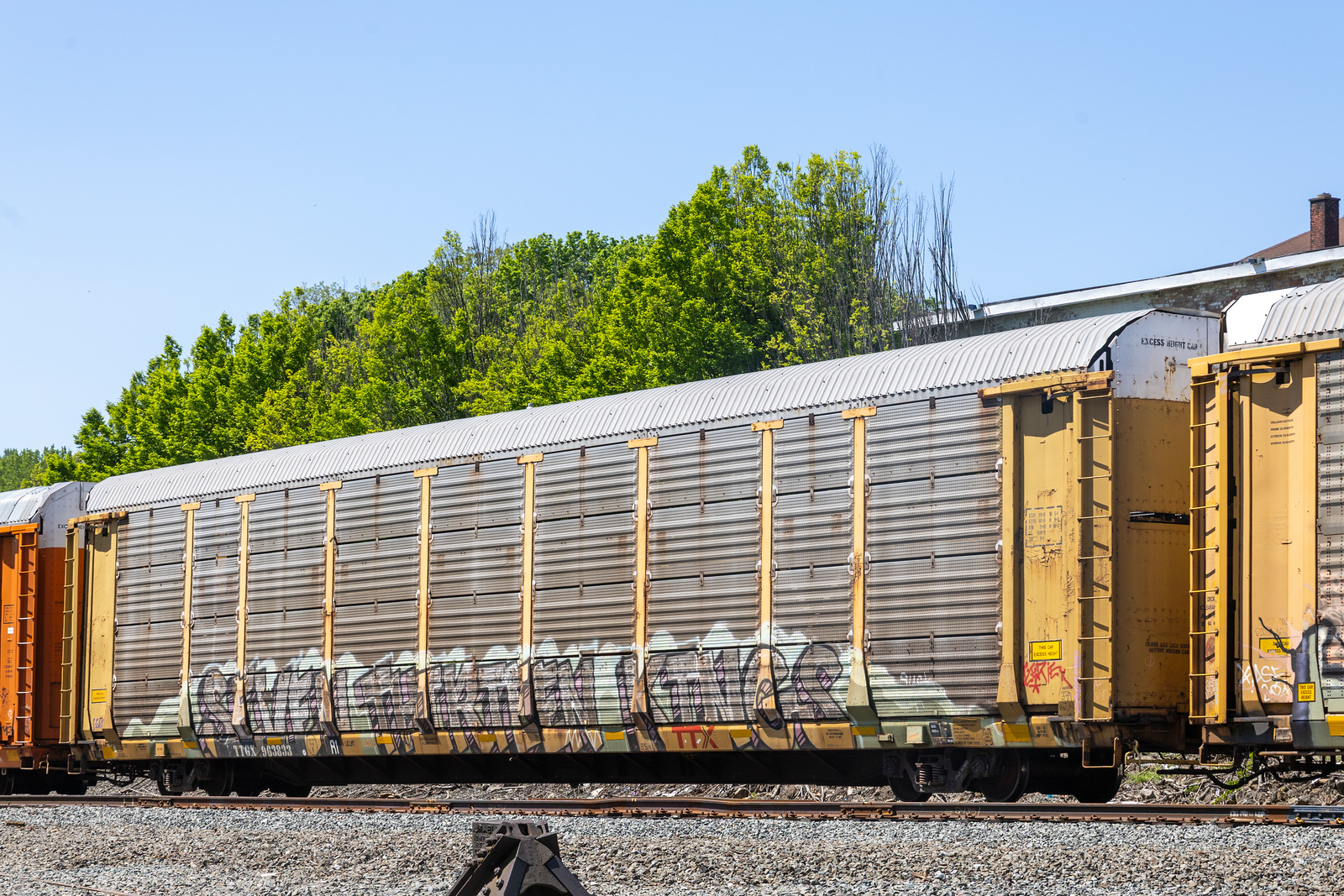TTGX 963833