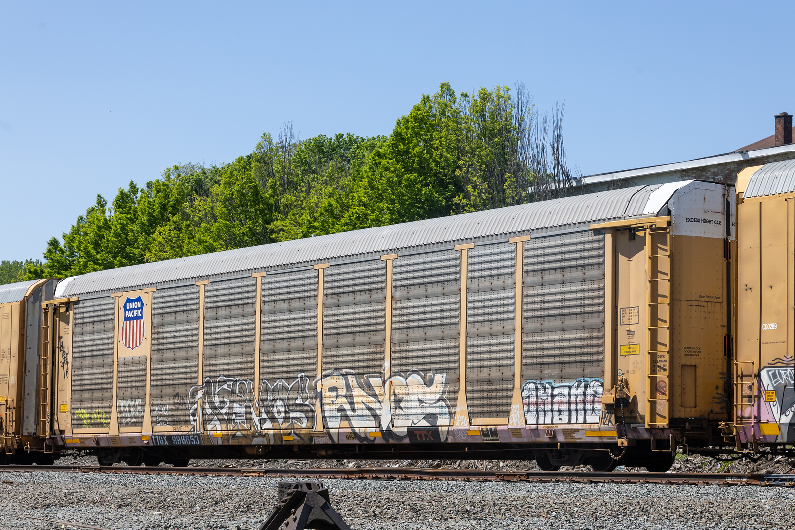 TTGX 996653