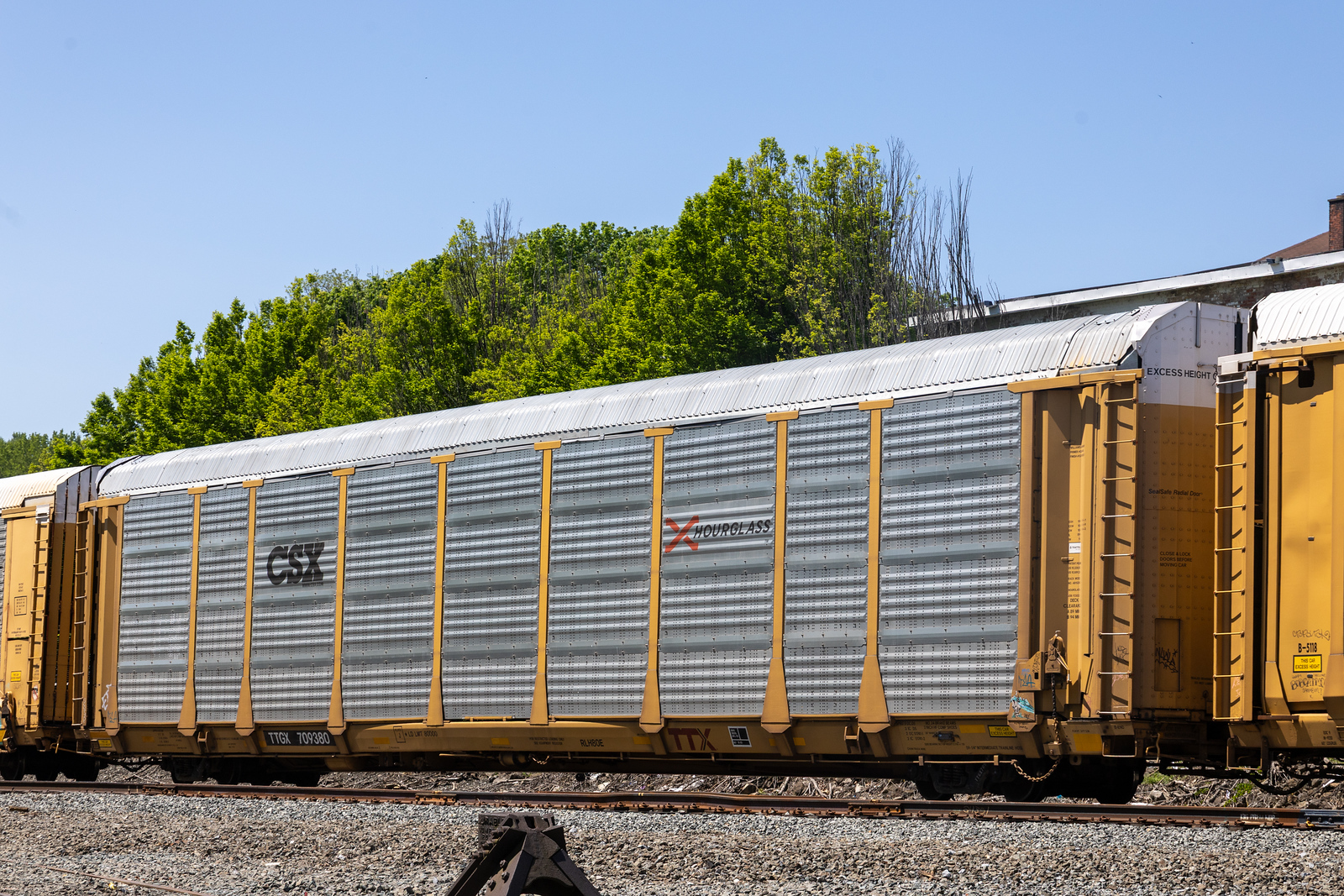 TTGX 709380