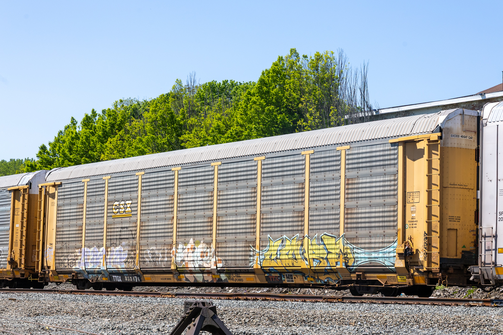 TTGX 853476