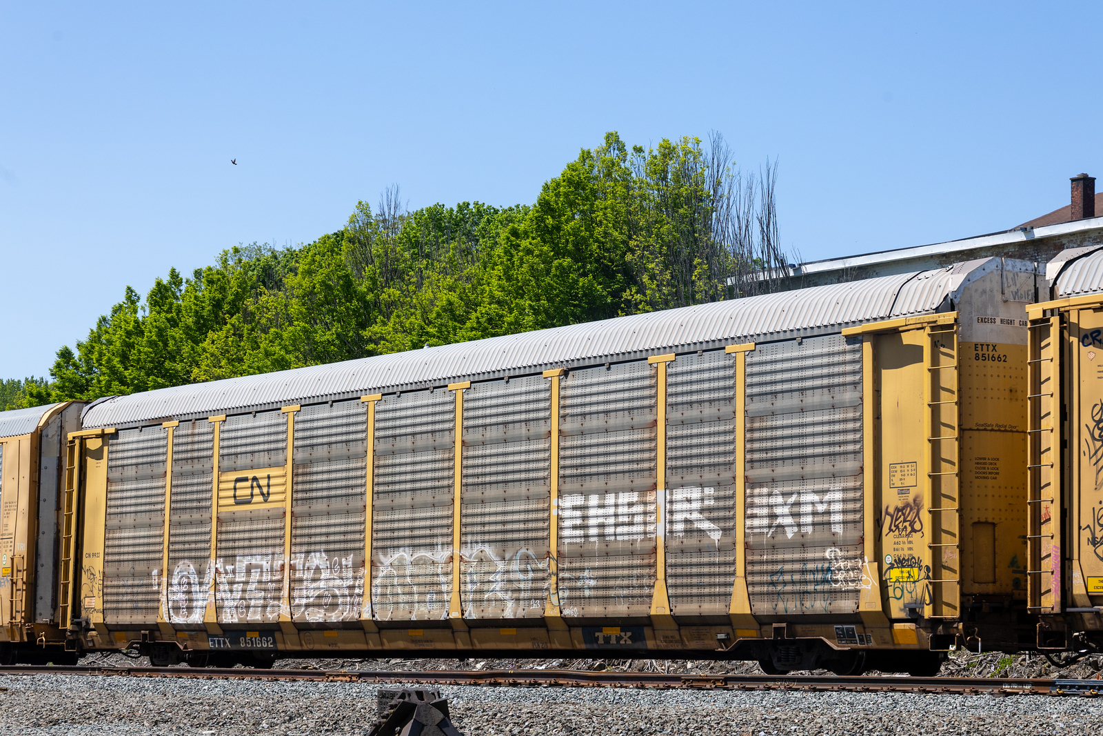 ETTX 851662