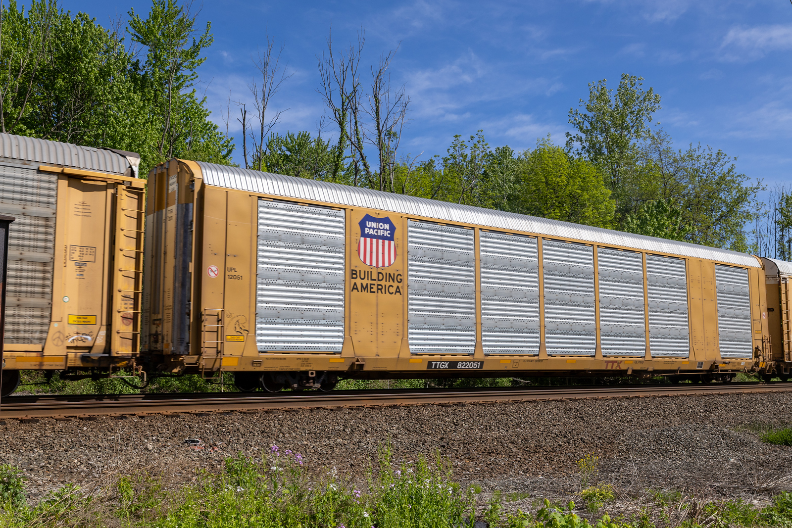 TTGX 822051