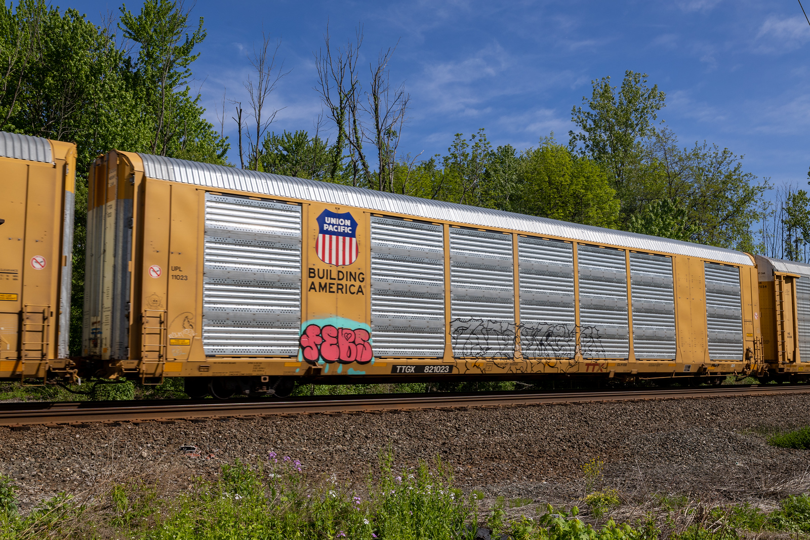 TTGX 821023