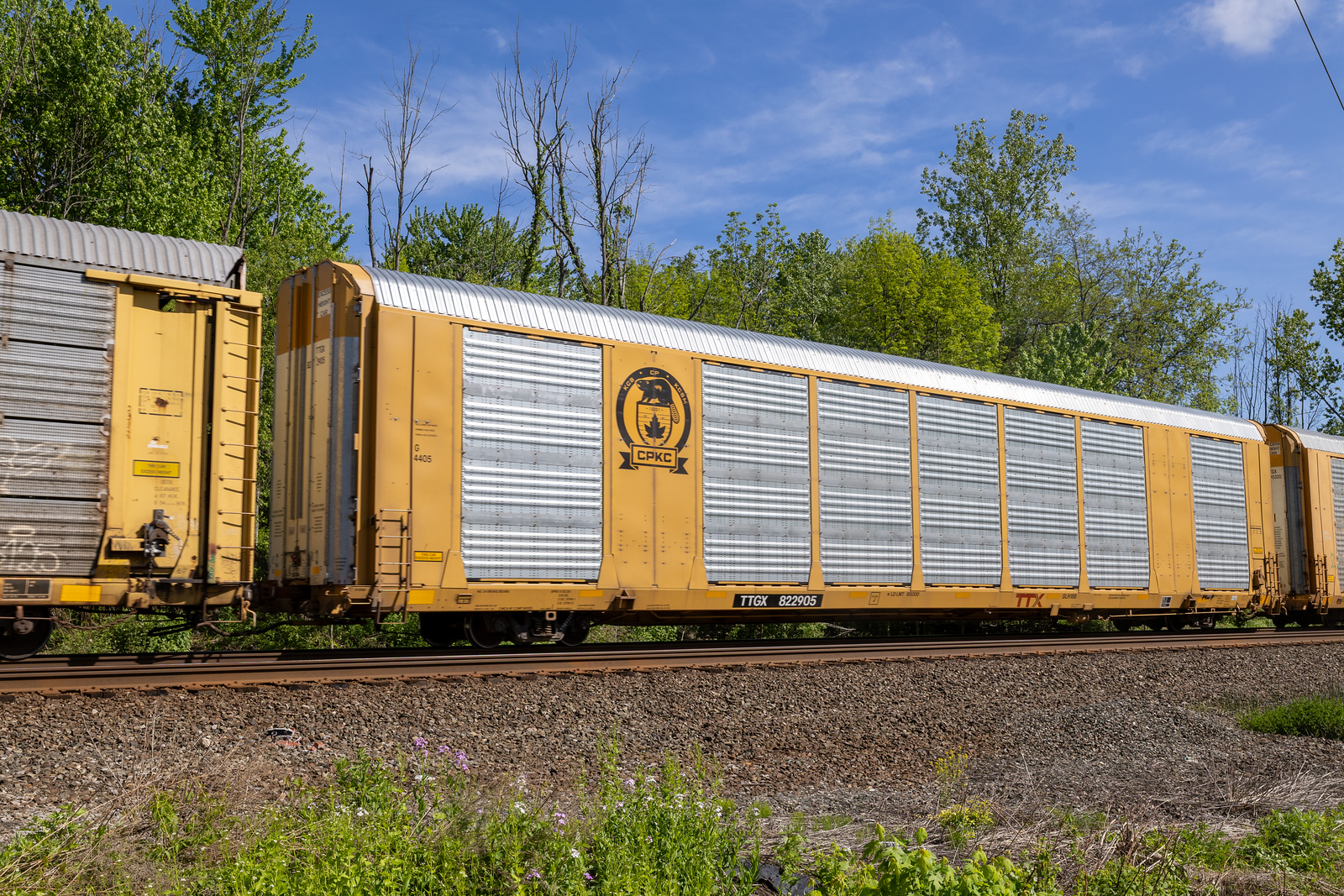 TTGX 822905