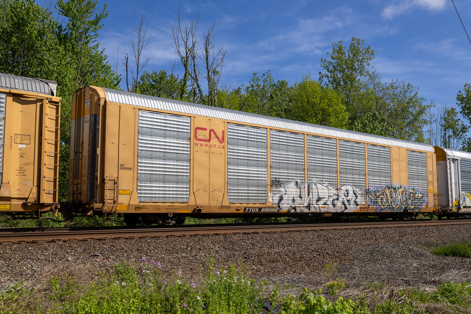 TTGX 696866