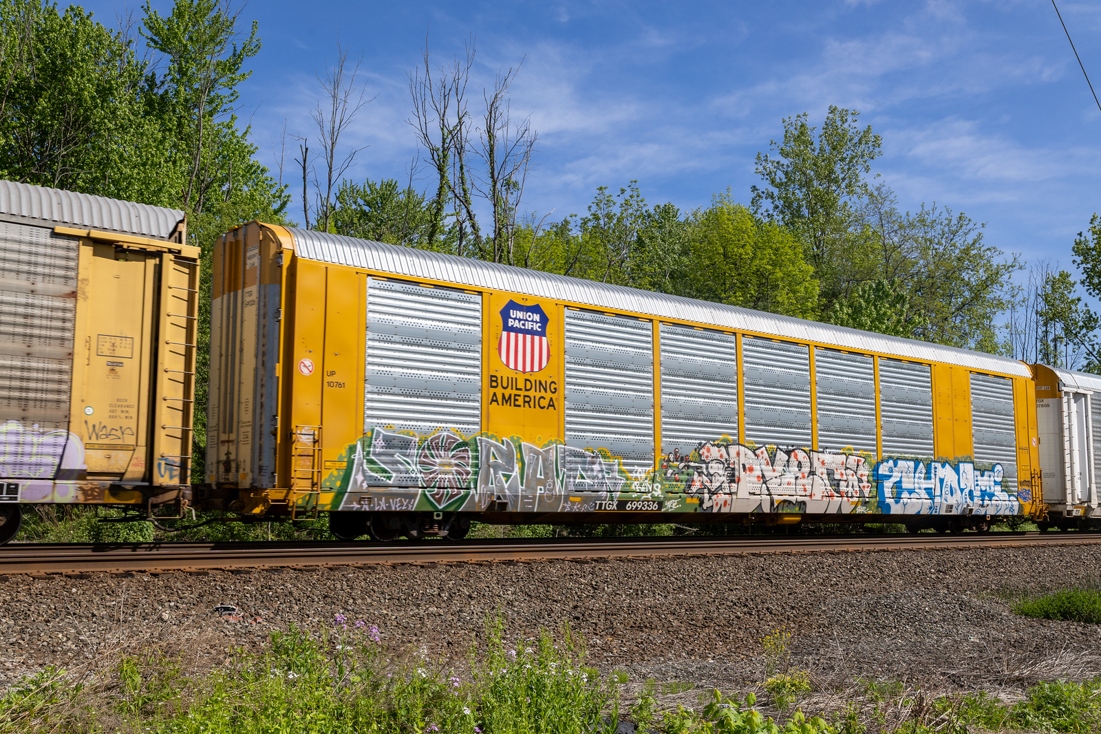 TTGX 699336