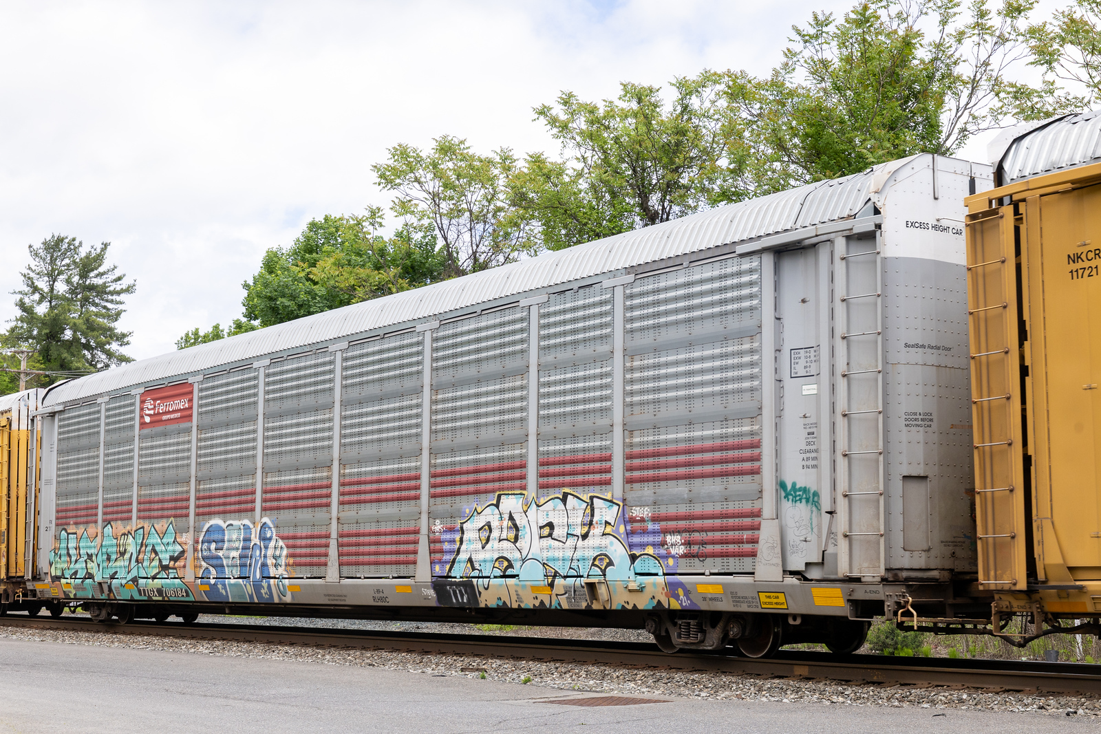 TTGX 706184