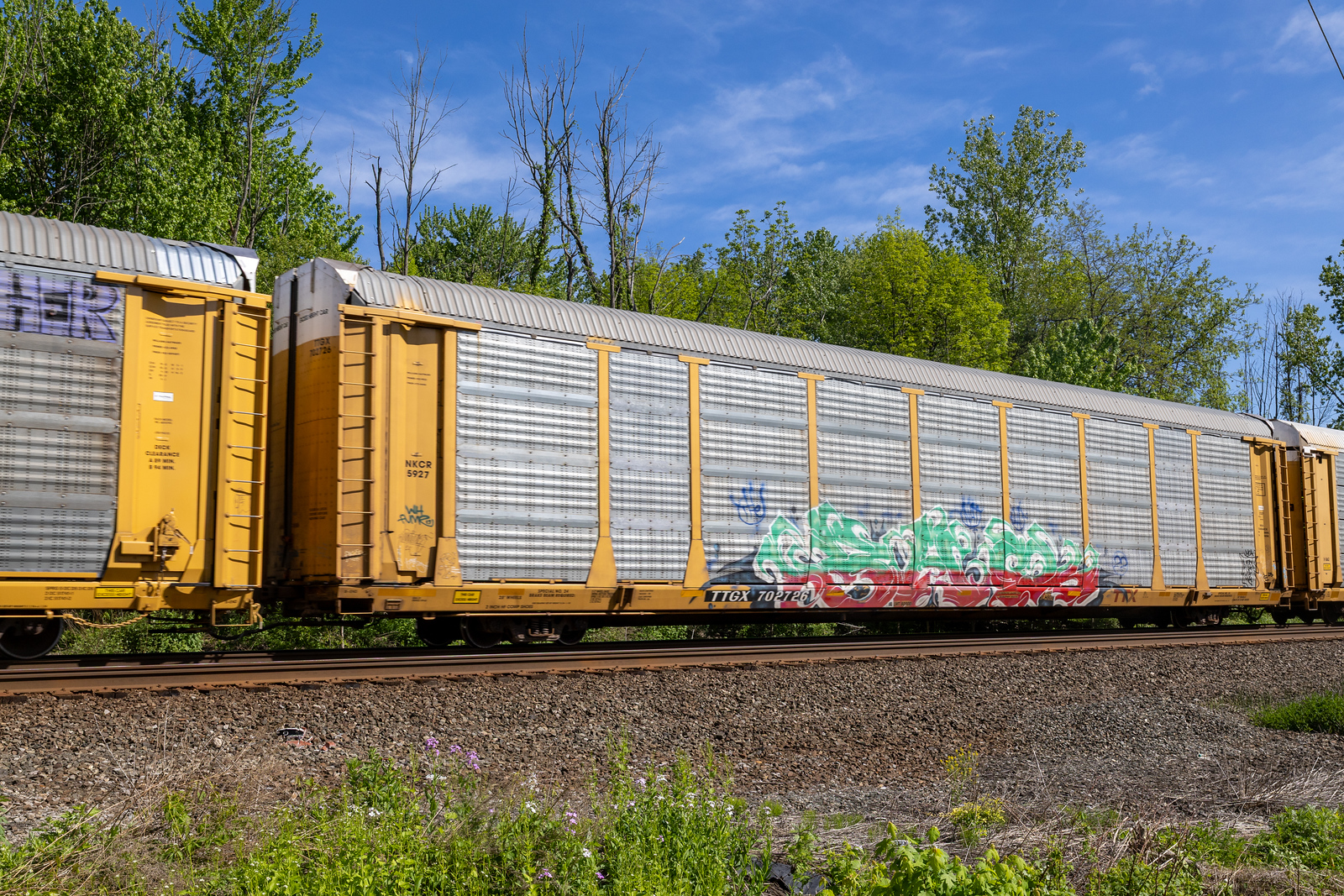 TTGX 702726