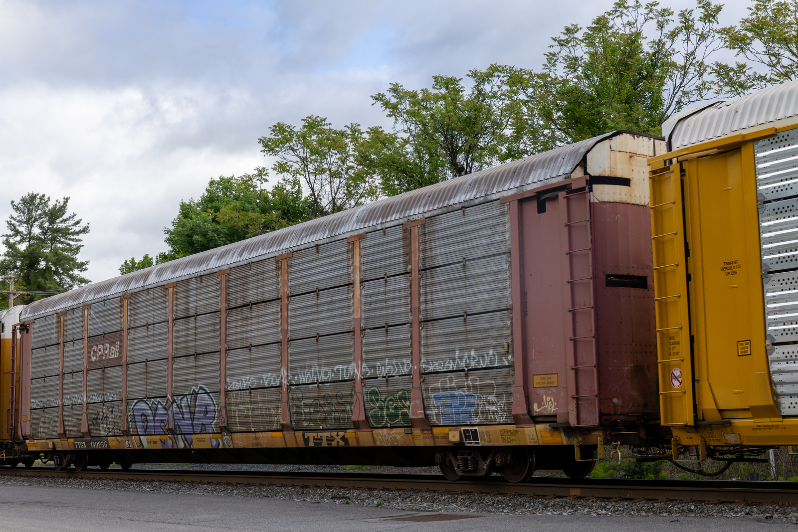 TTGX 160236
